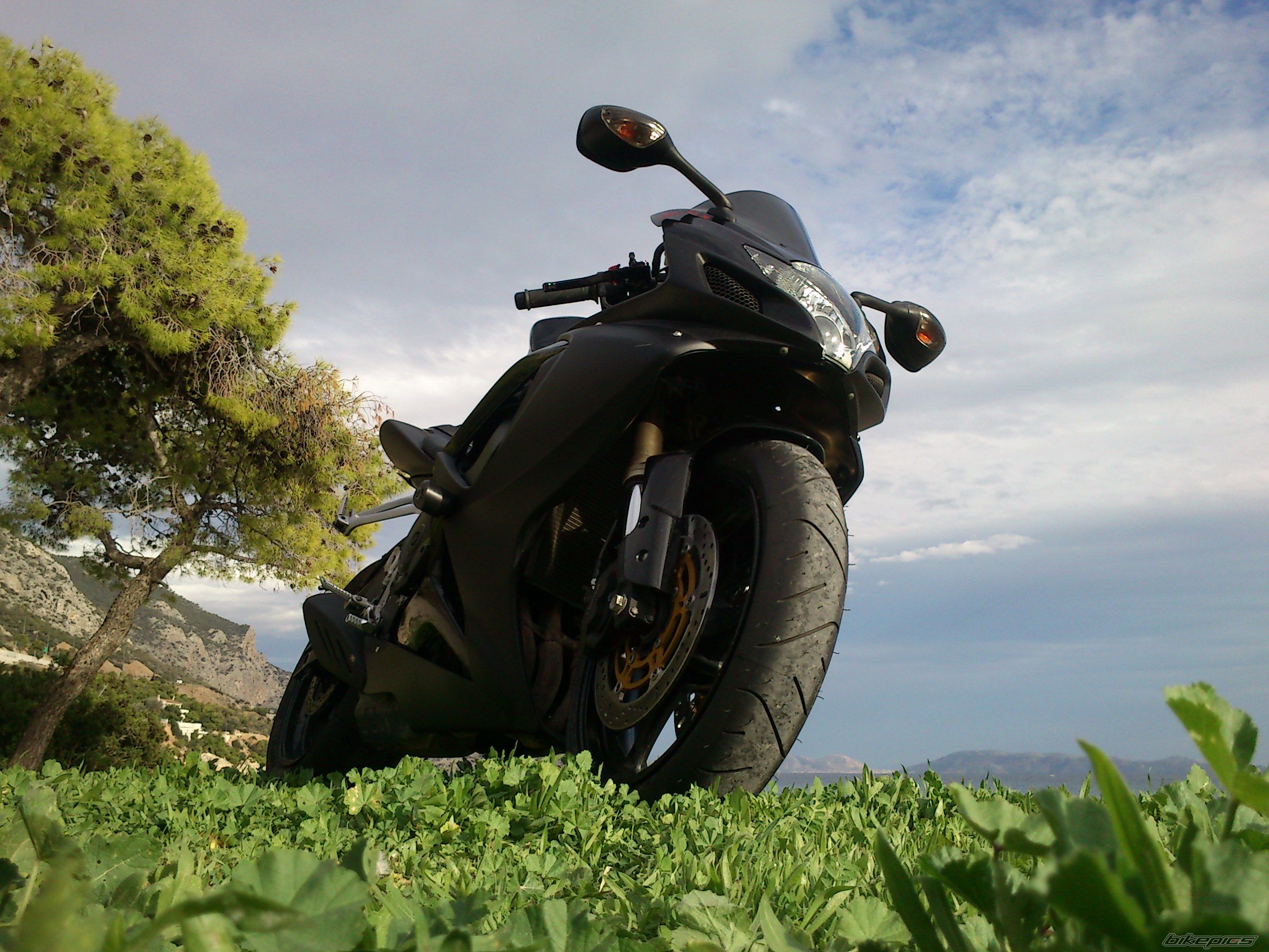 Photo 2476698