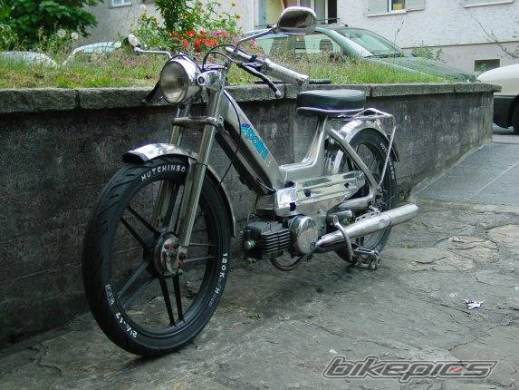 Photo 247678