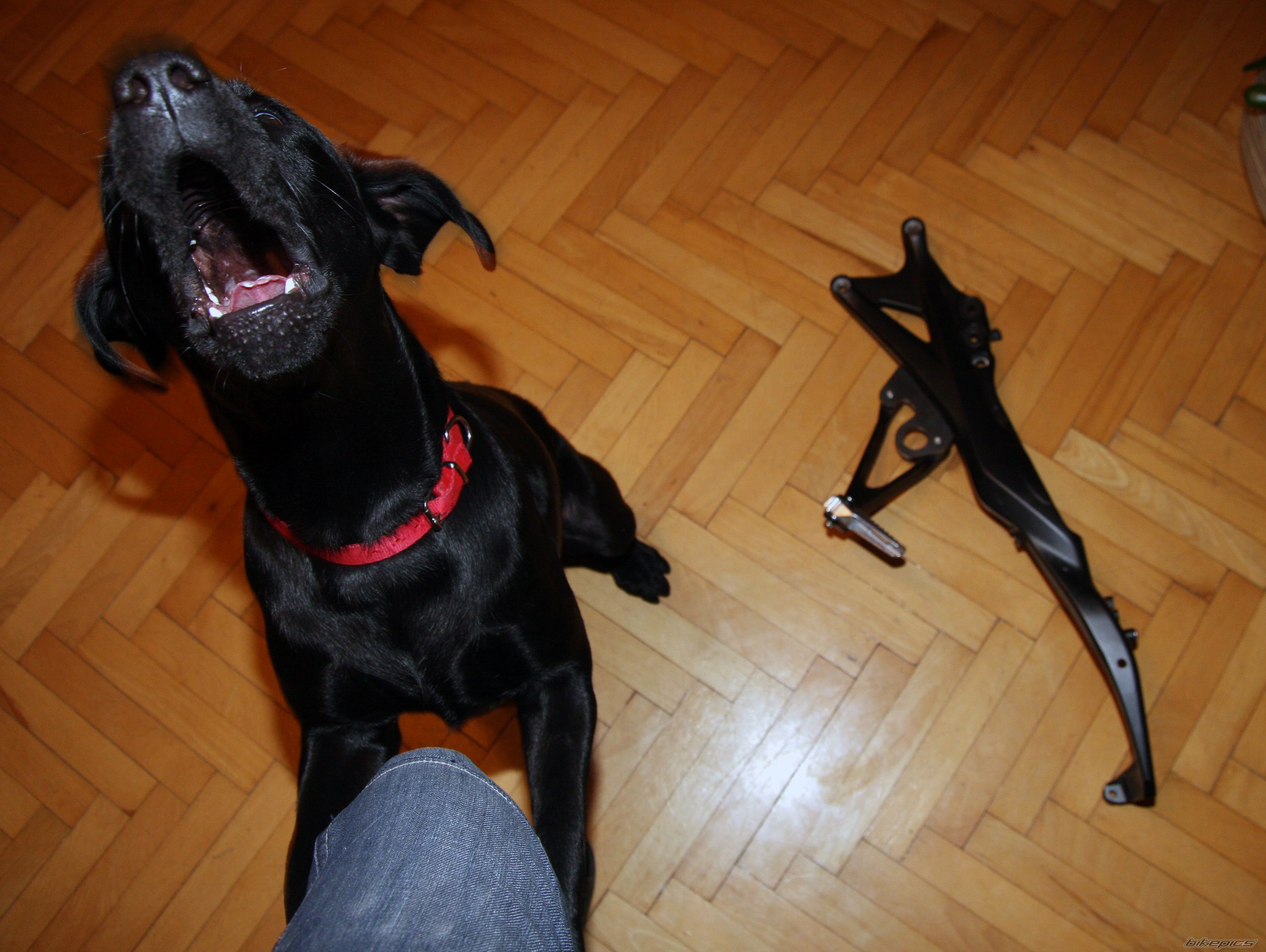 Photo 2476818