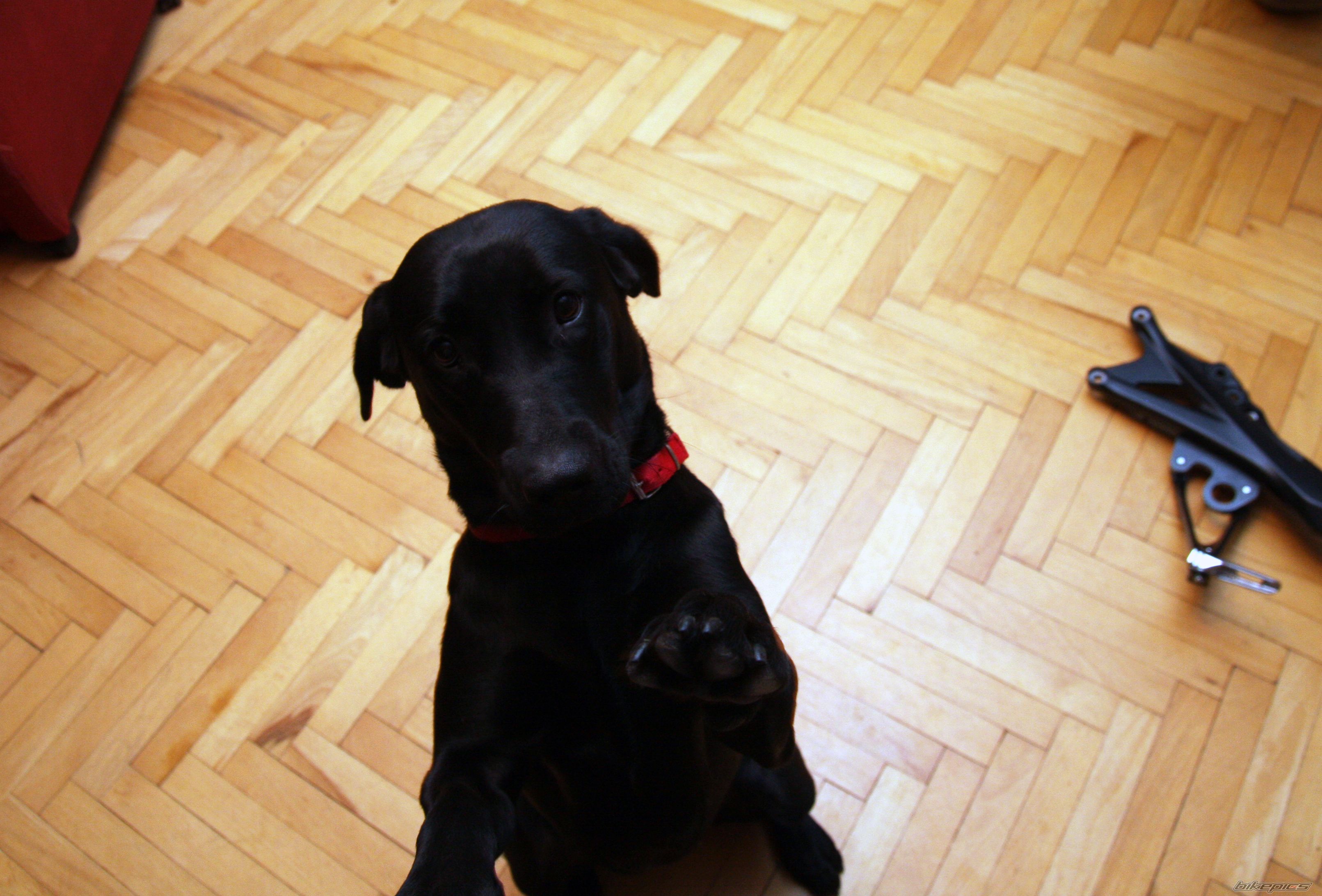 Photo 2476820