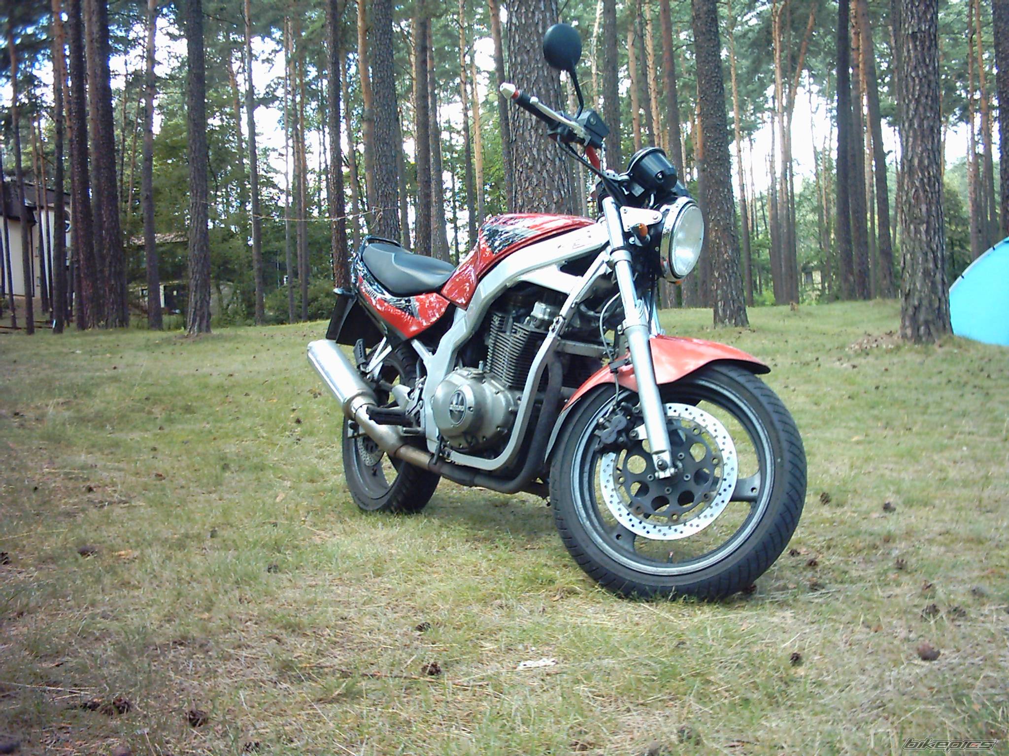 Photo 247687