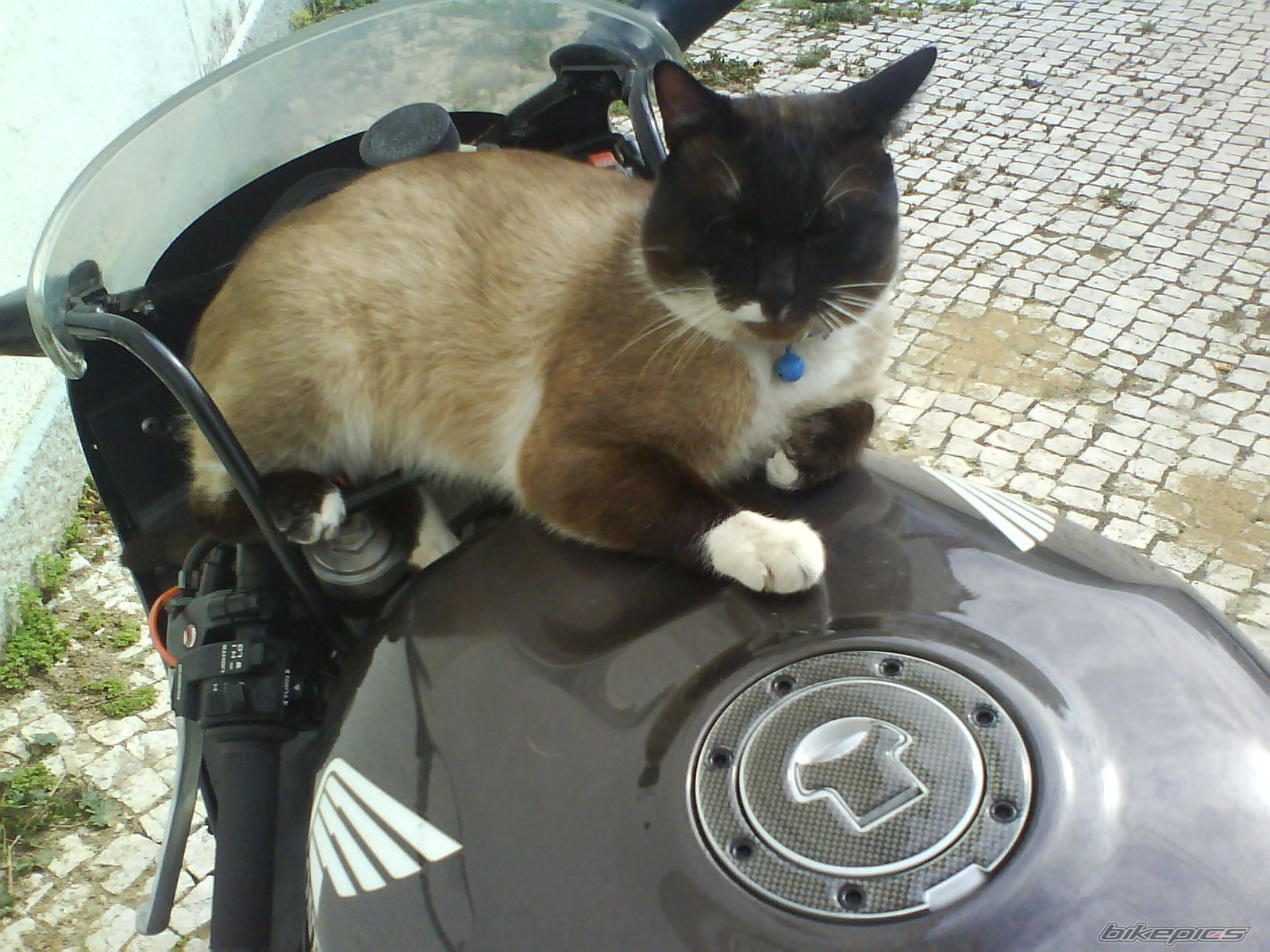 Photo 2476874