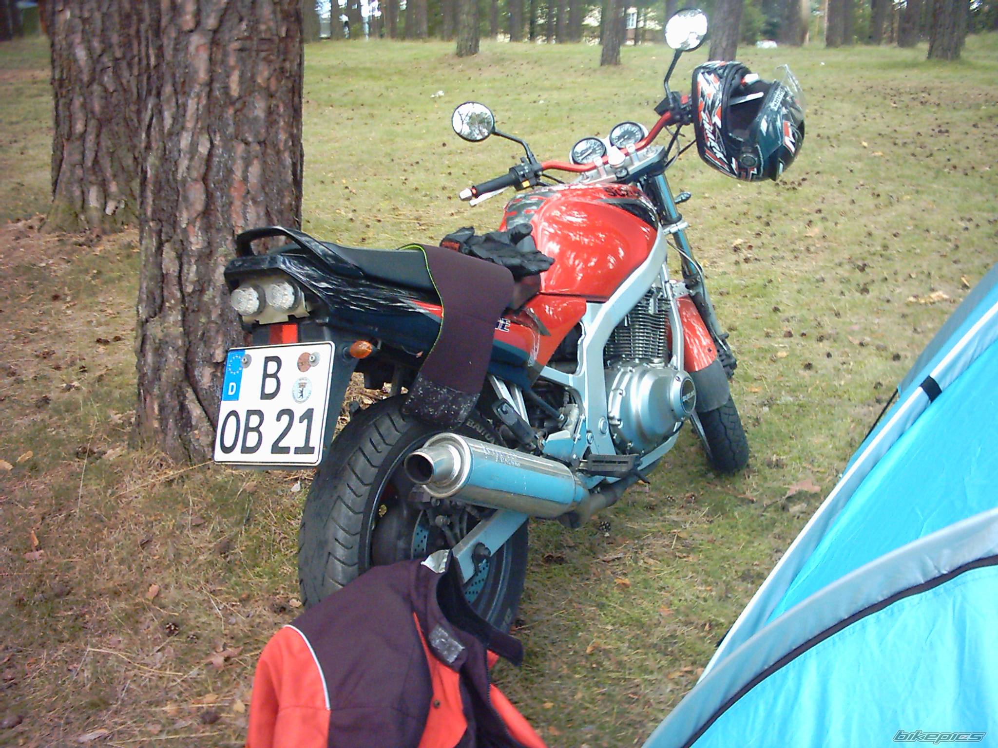 Photo 247688