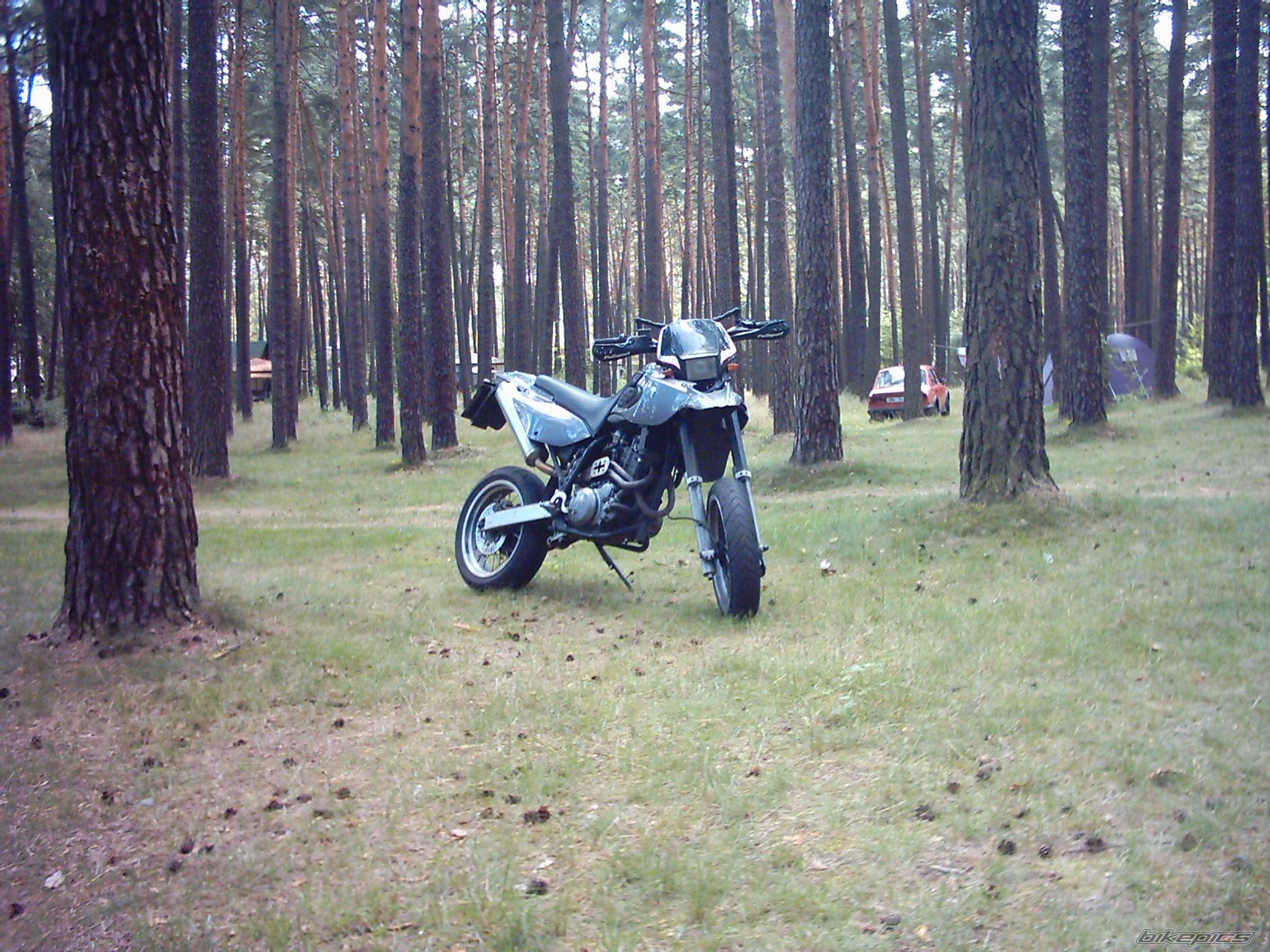 Photo 247689