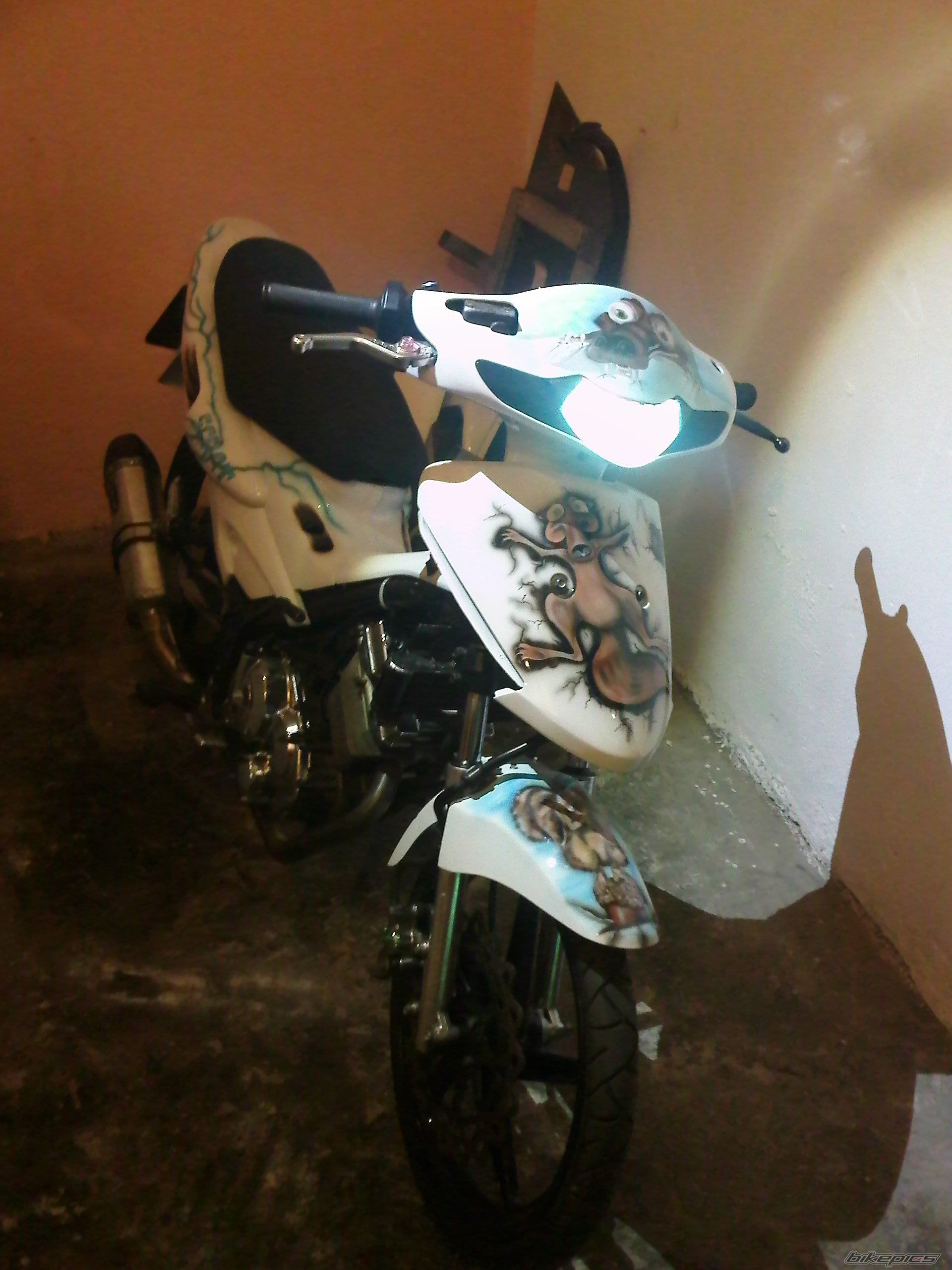 Photo 2477004