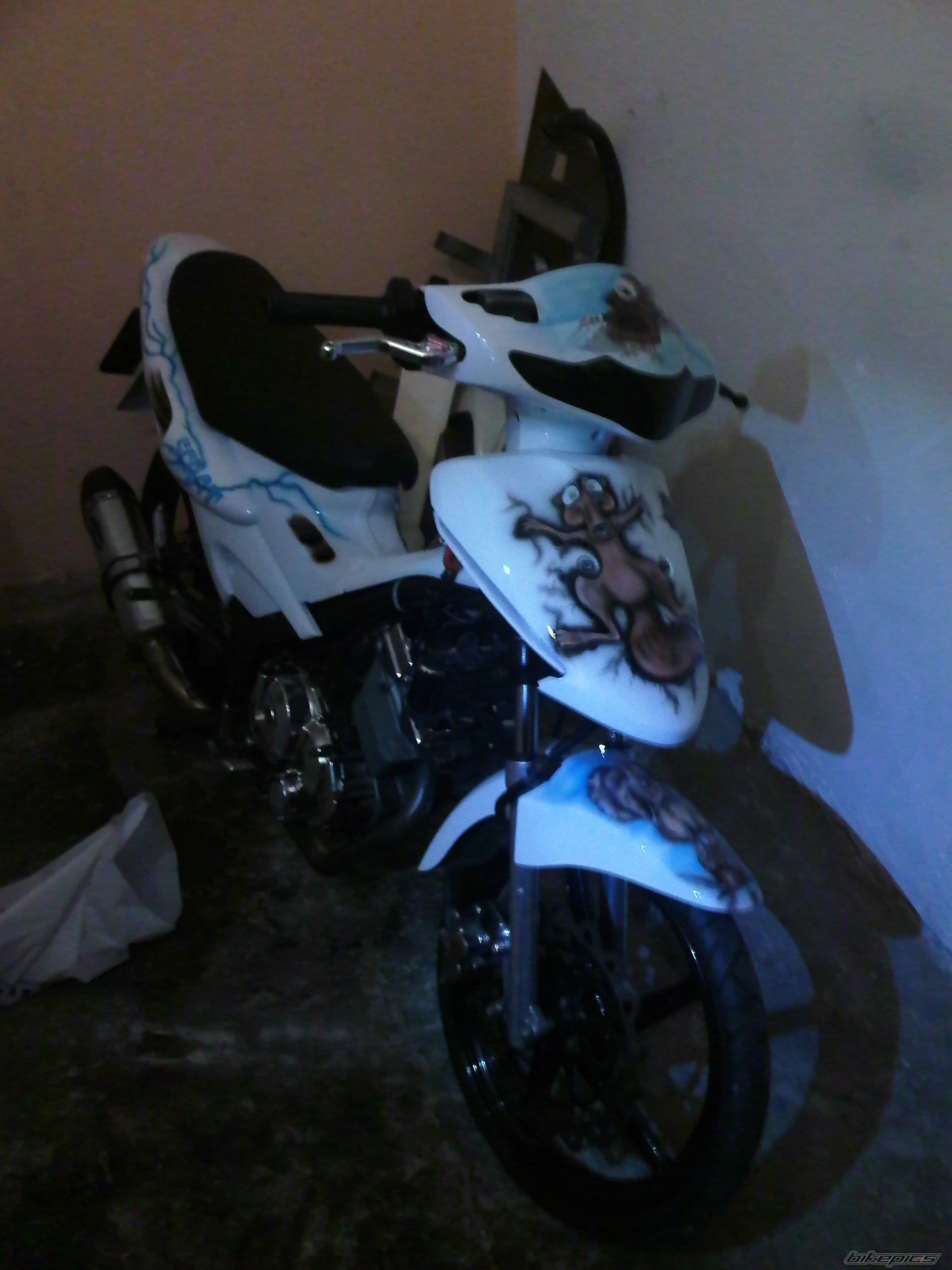 Photo 2477005