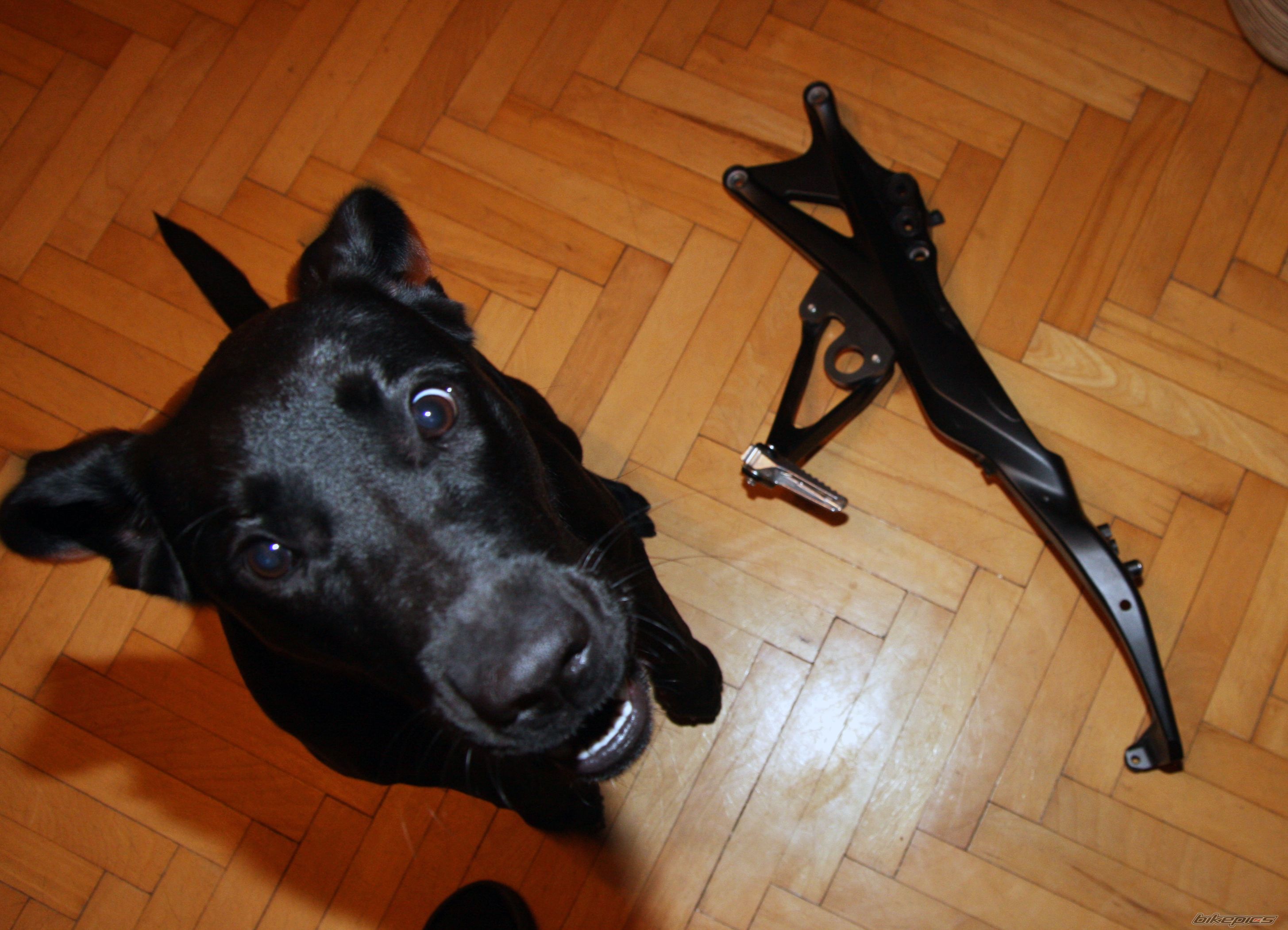 Photo 2477021