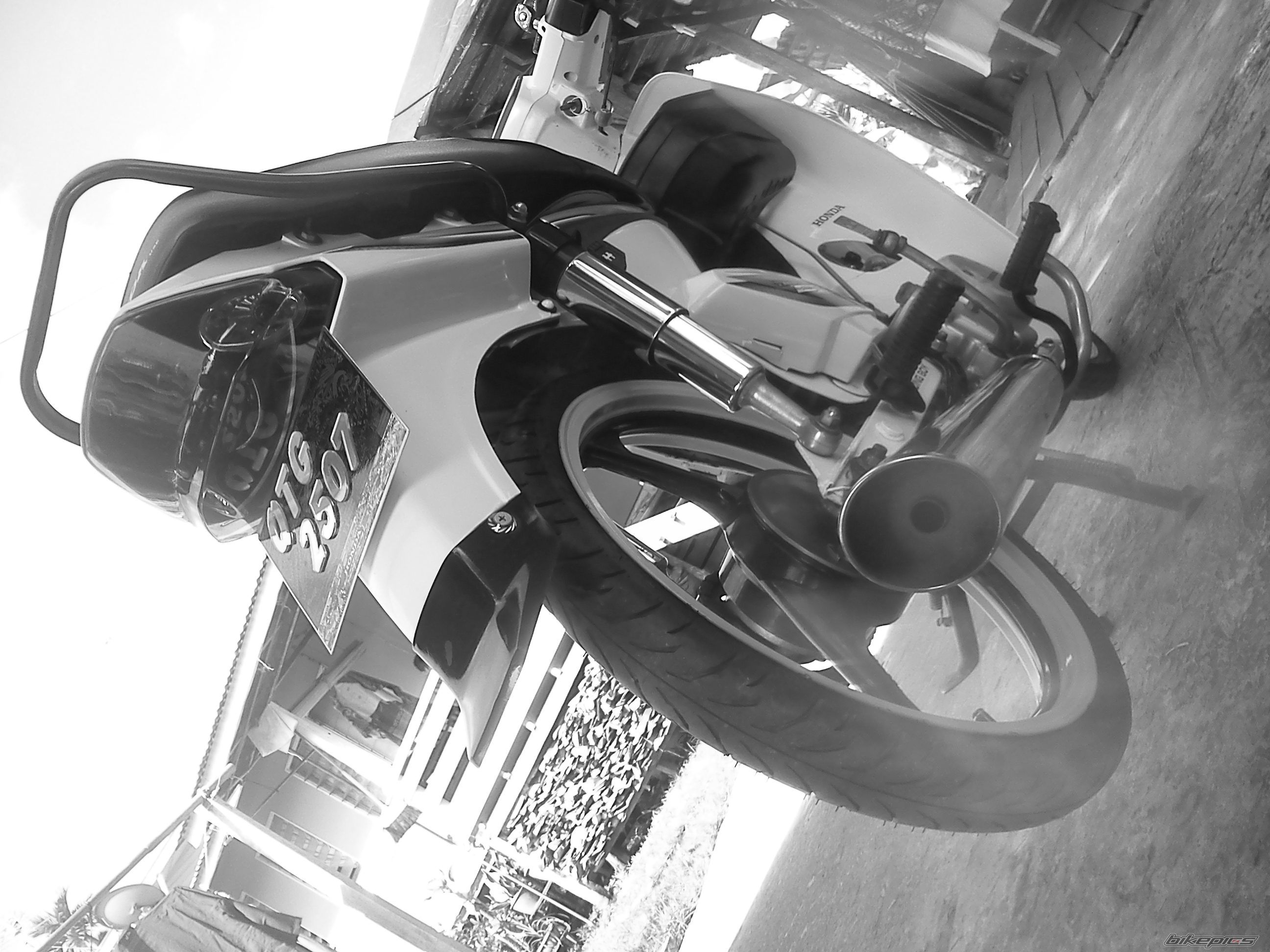 Photo 2477026