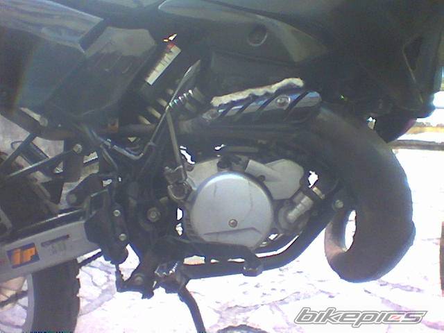 Photo 247703