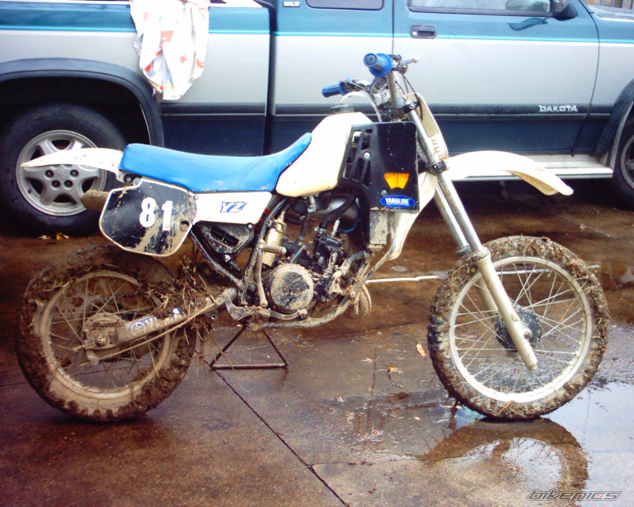 Photo 247713