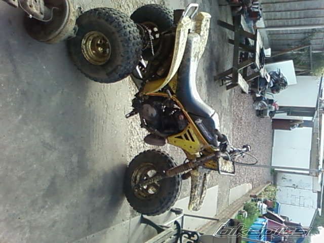 Photo 2477223