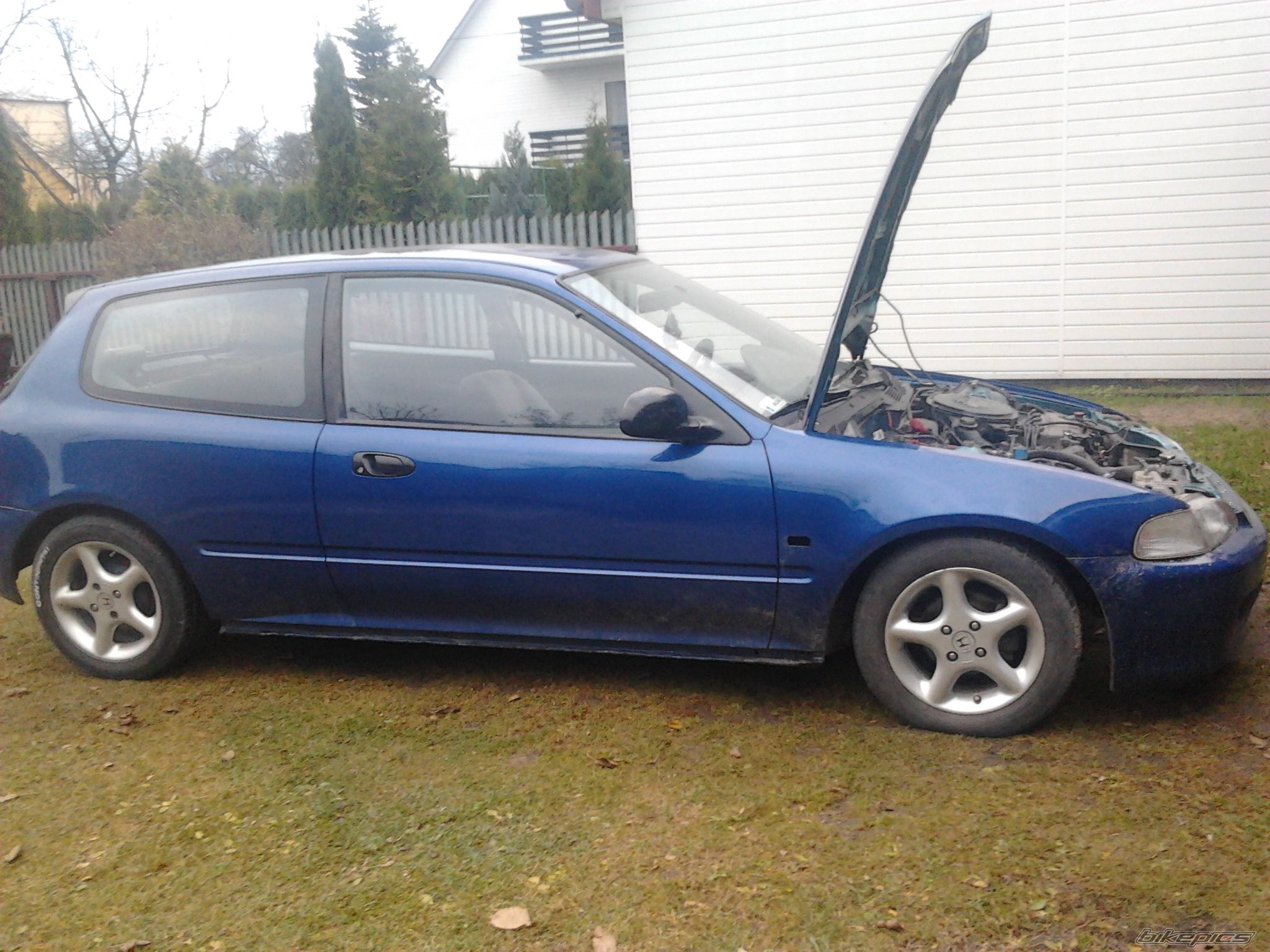 Photo 2477321
