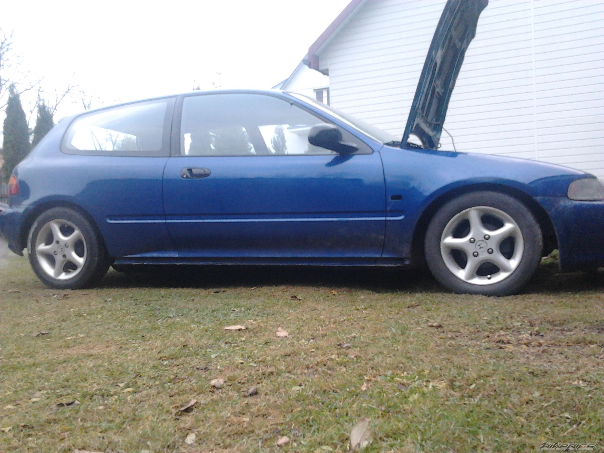 Photo 2477322