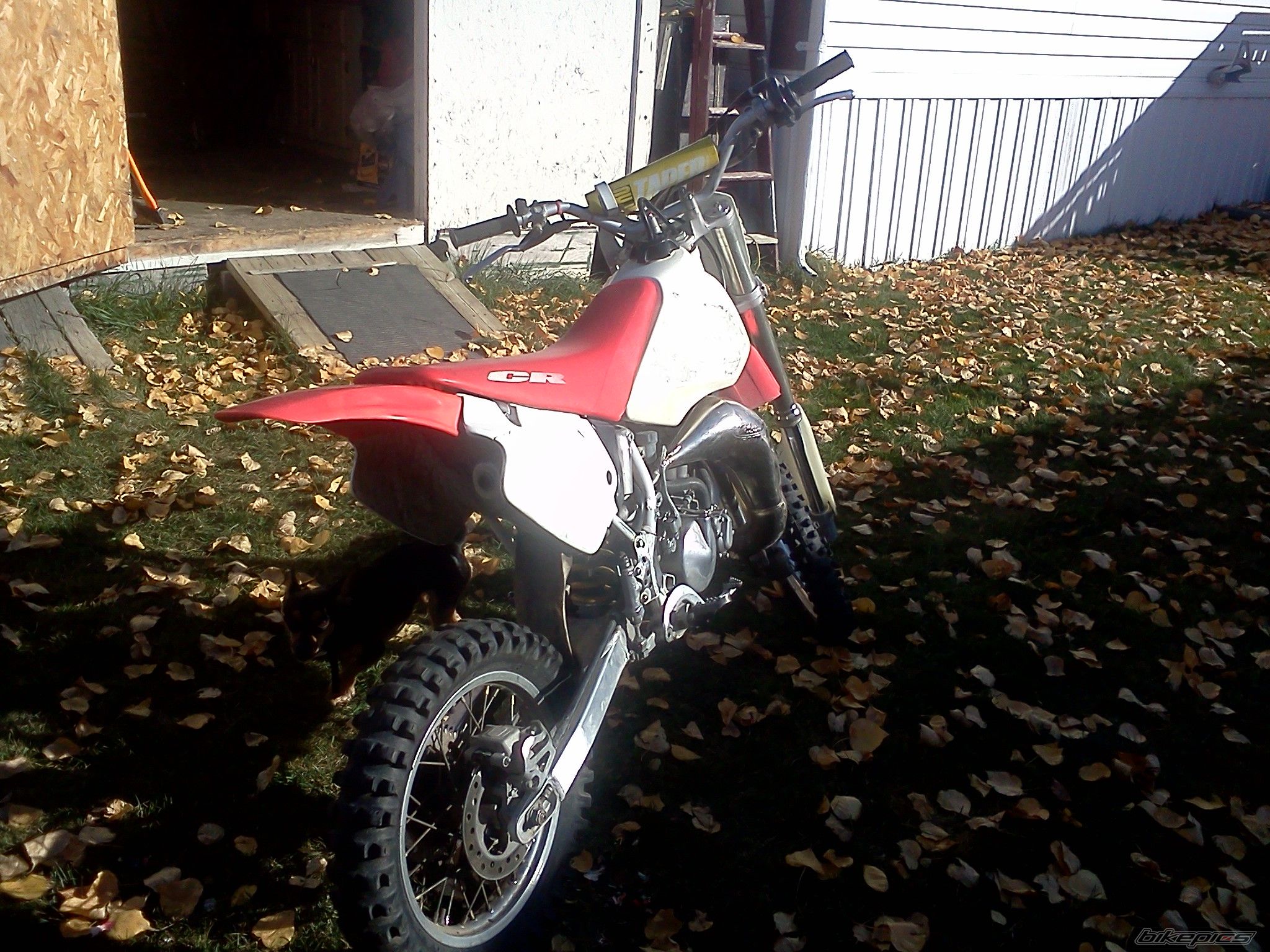 Photo 2477358