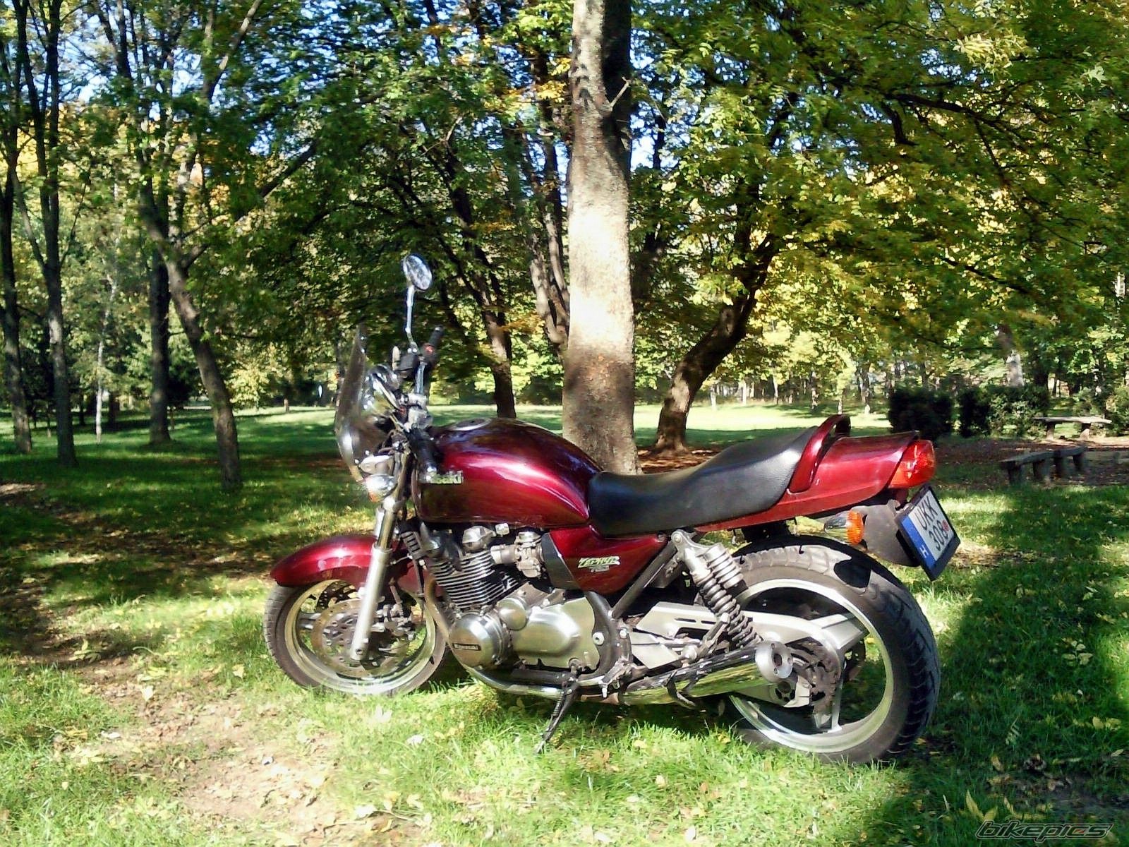Photo 2477380