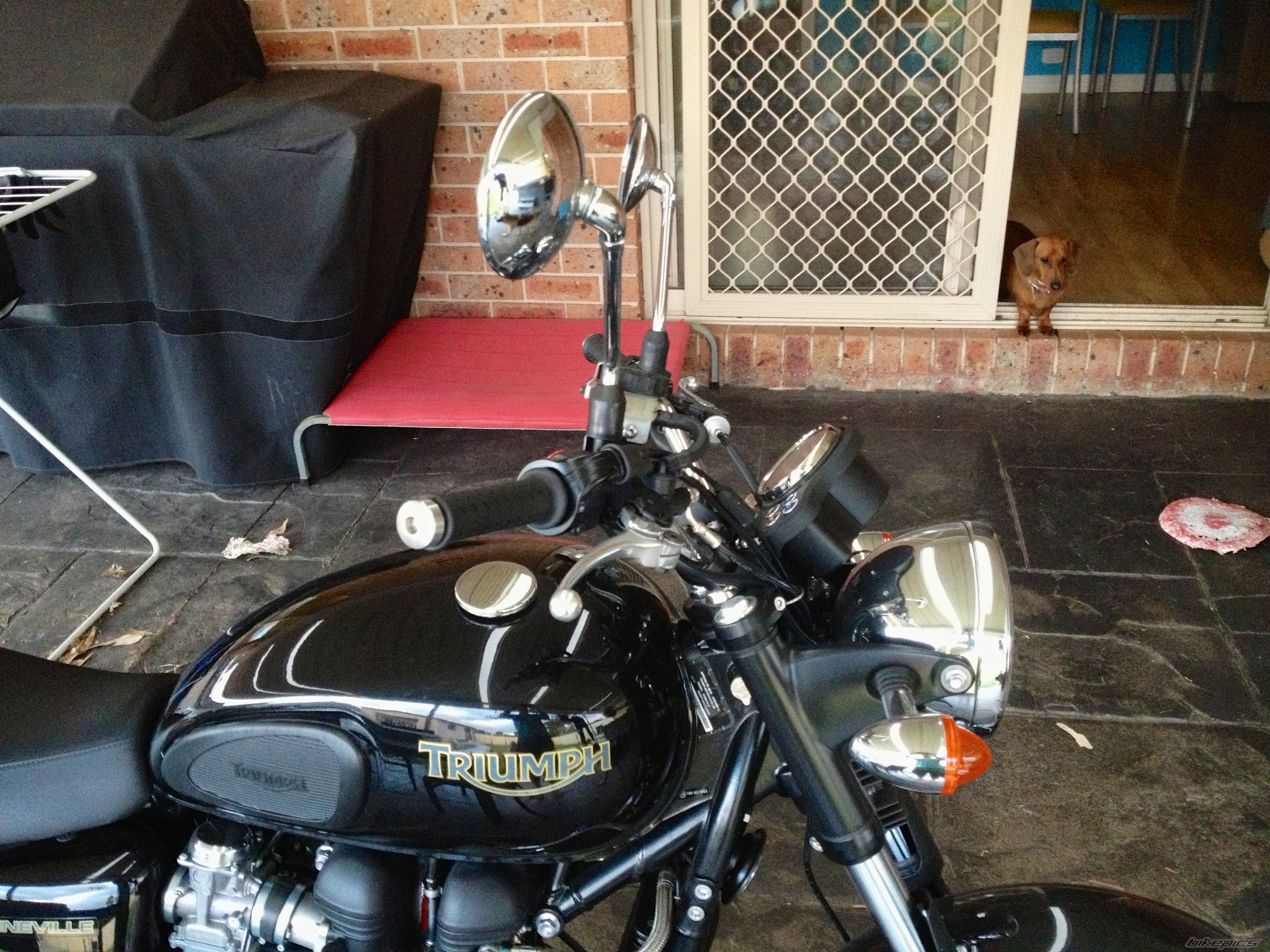Photo 2477399