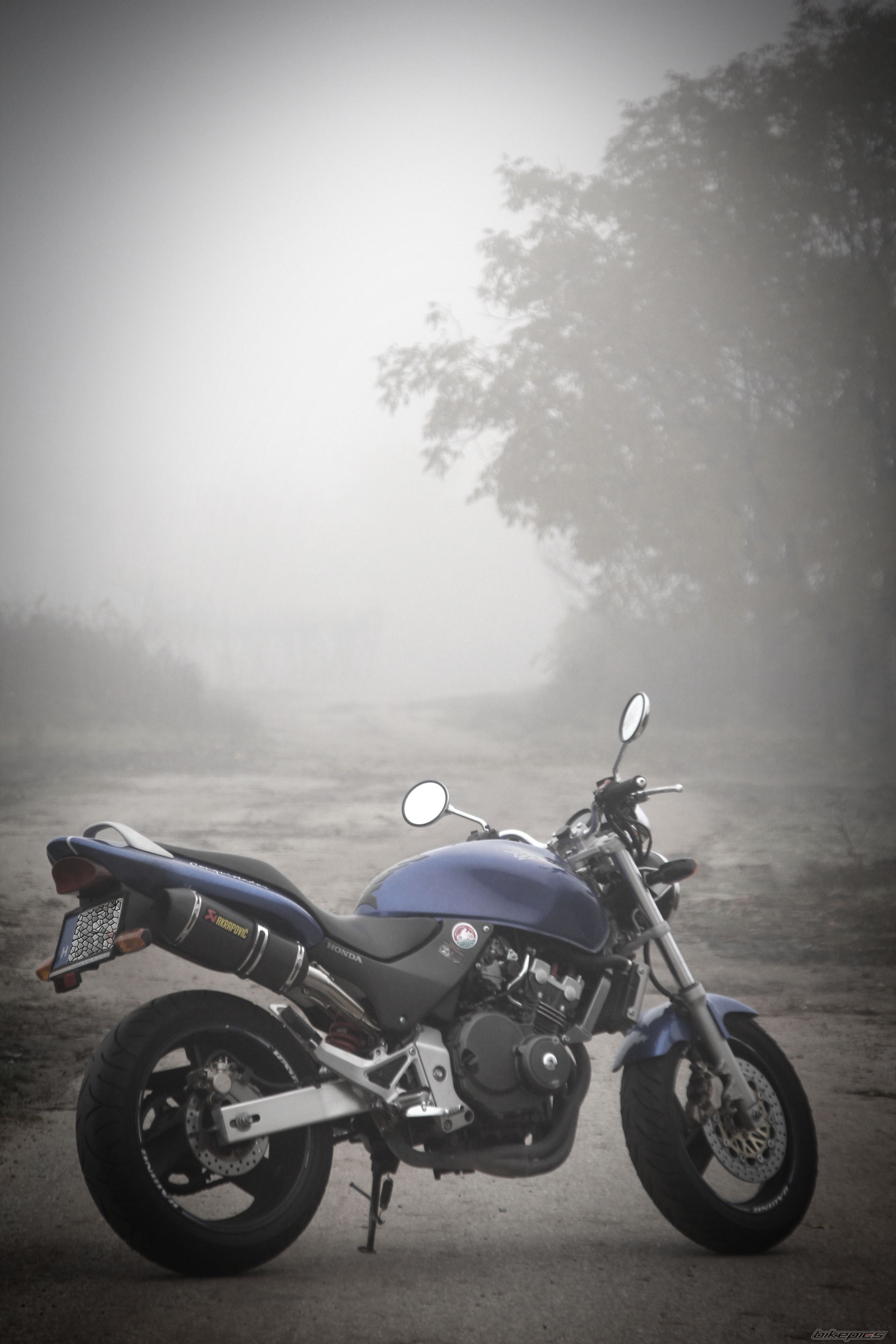 Photo 2477429