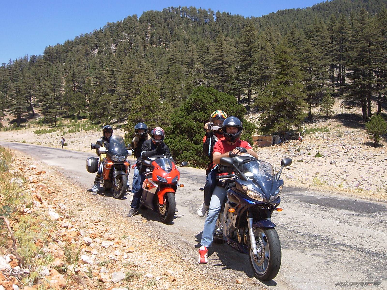 Bike Photo 247747