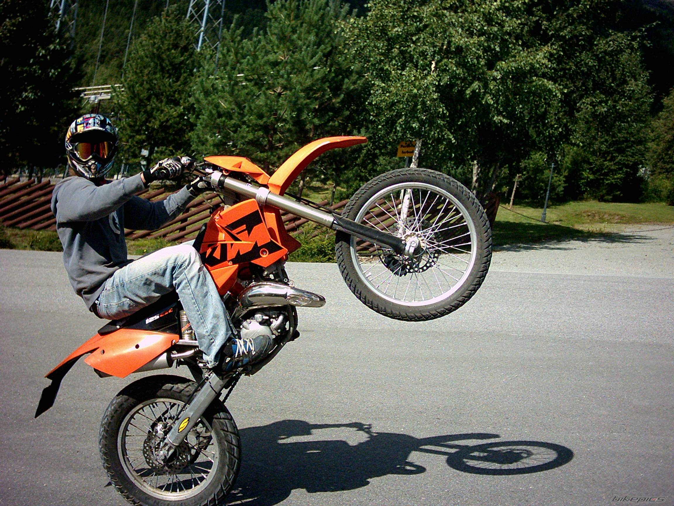 Photo 247752
