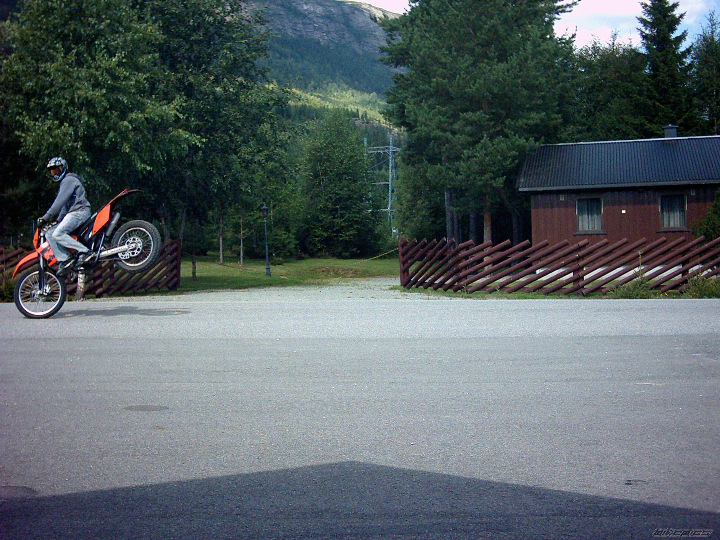 Photo 247754