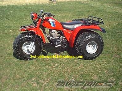 Photo 24777