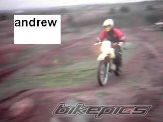 Photo 247776