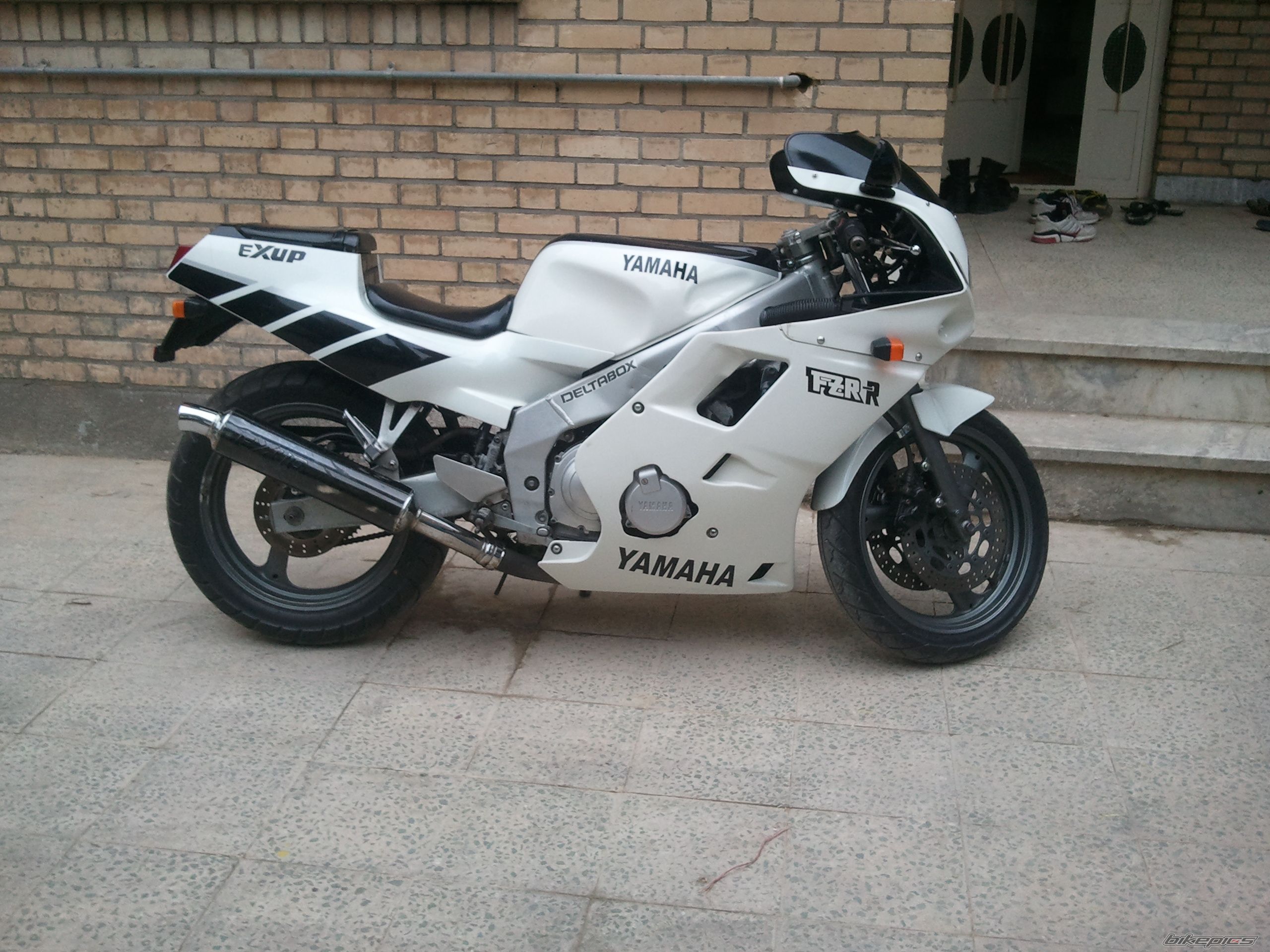 Photo 2477866
