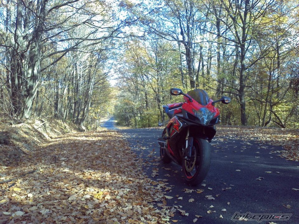 Photo 2477868