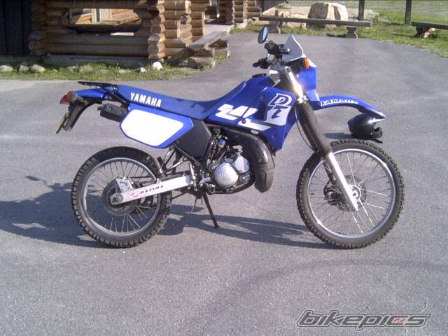 Photo 247798