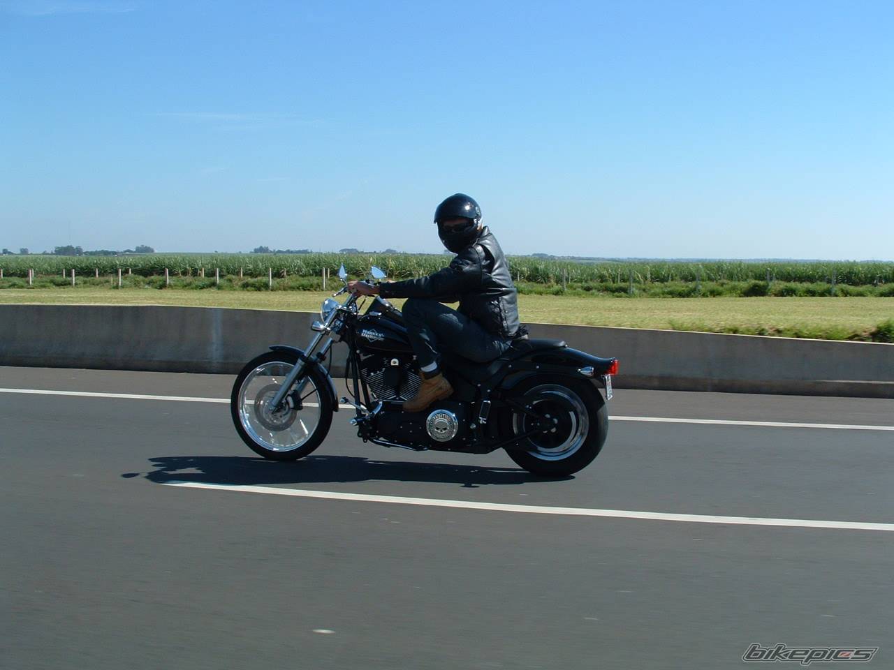 Photo 247802