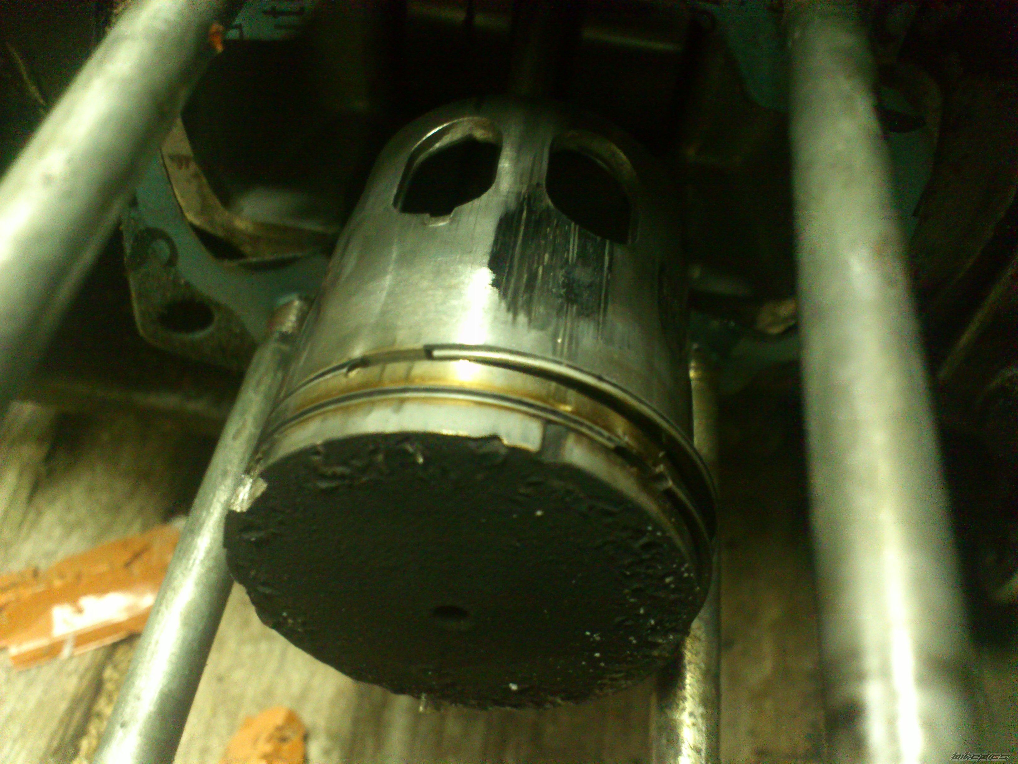 Photo 2478086