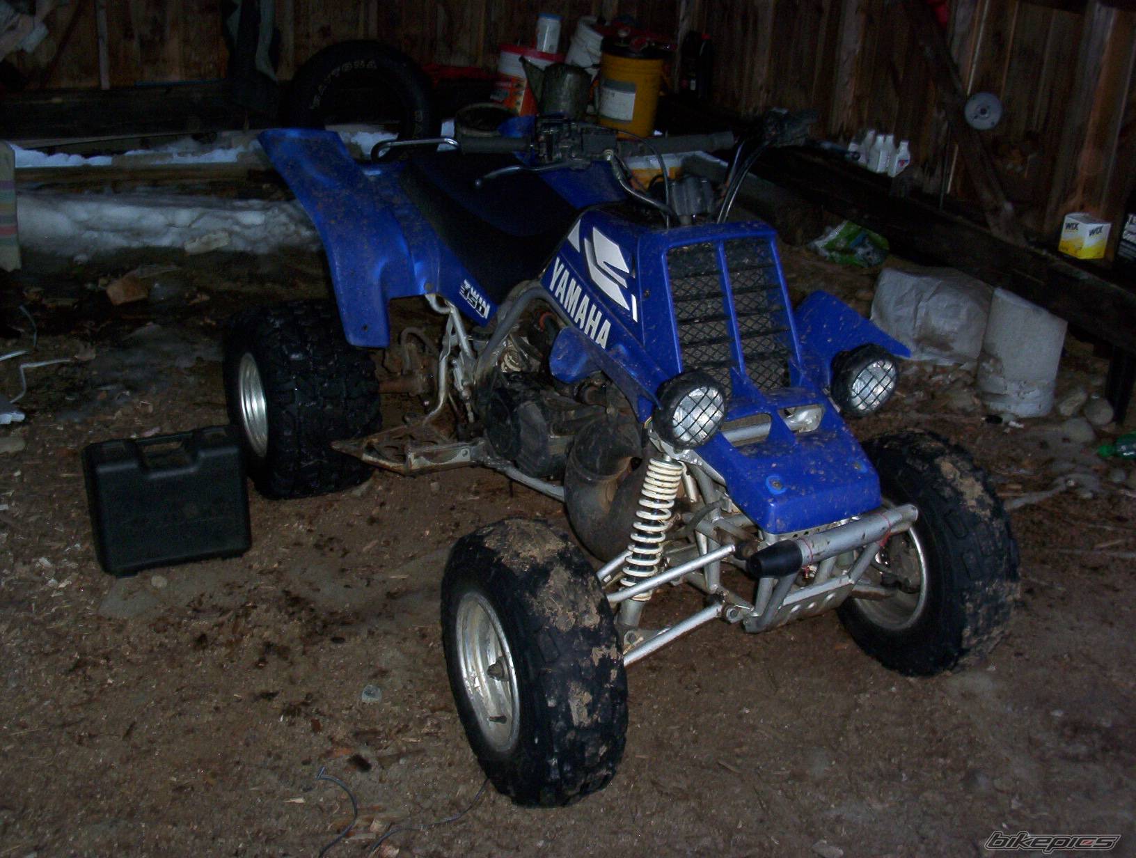Photo 247812