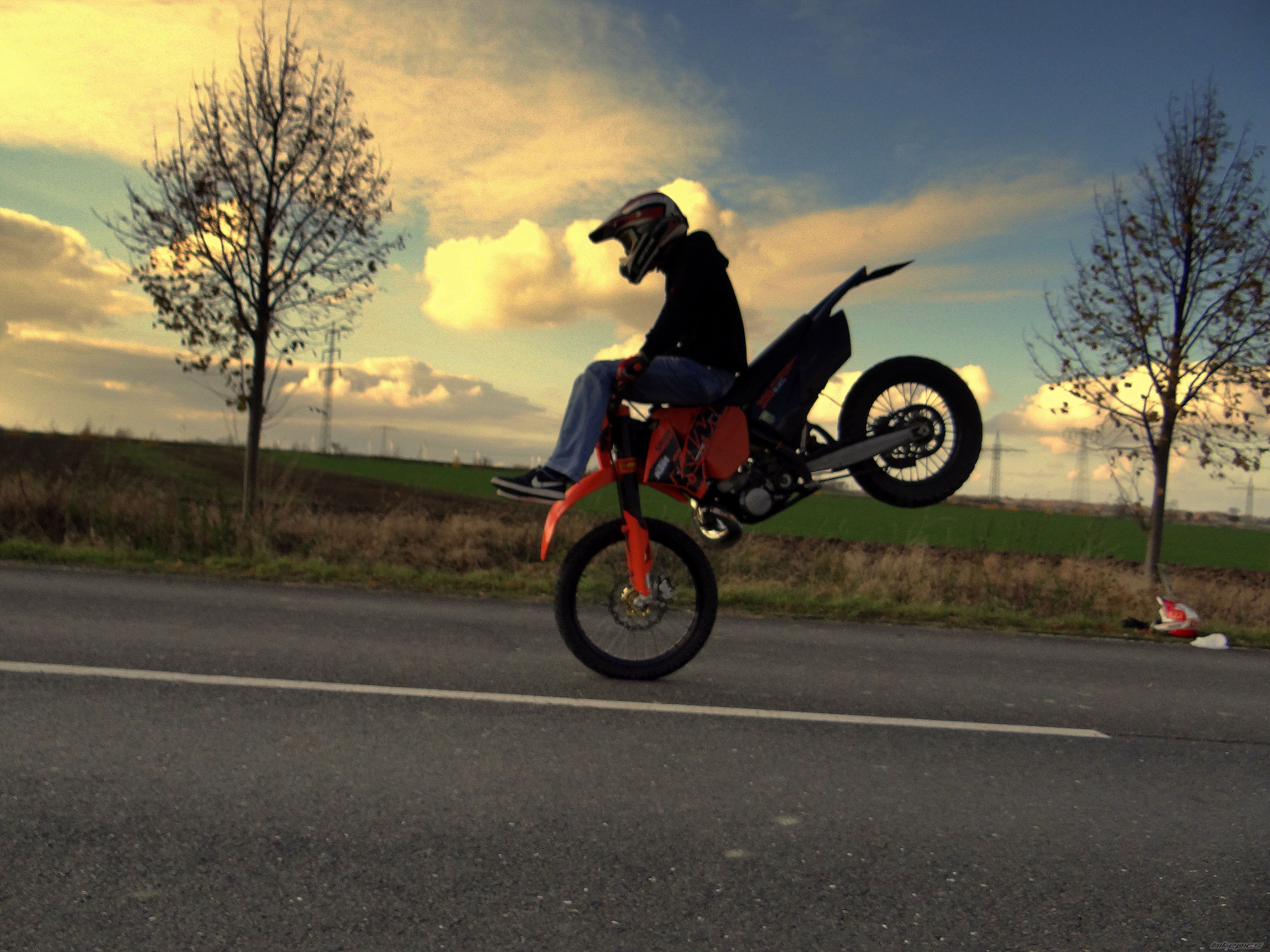 Photo 2478129