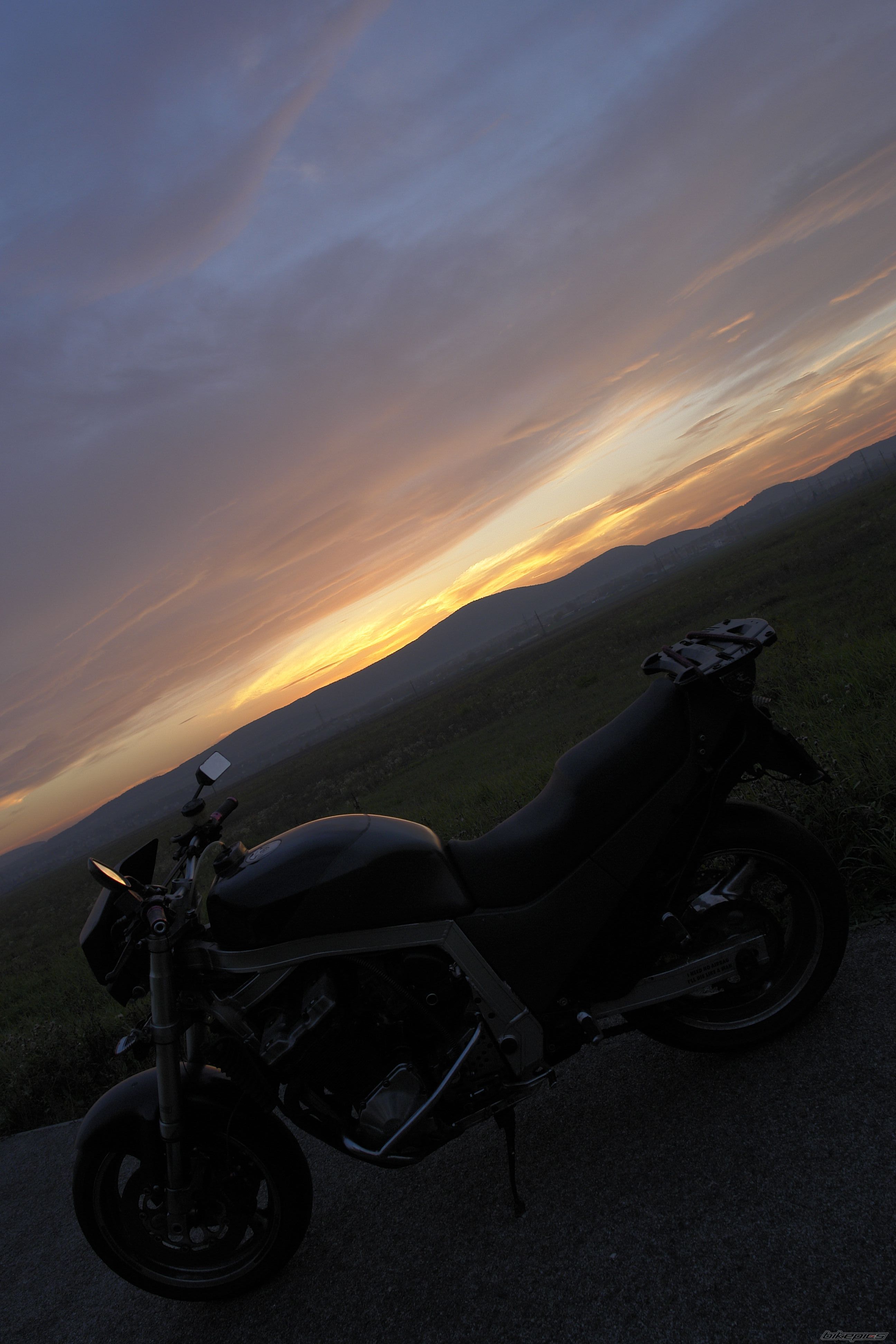 Photo 2478213