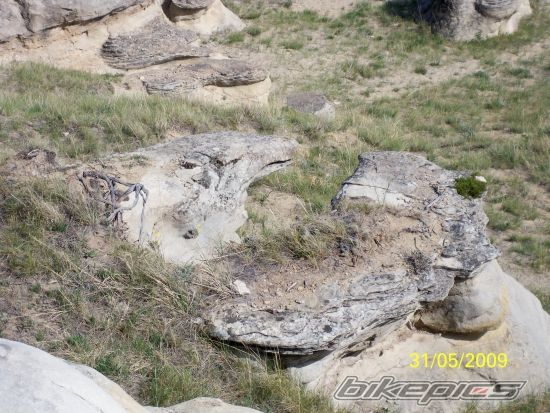 Photo 2478217