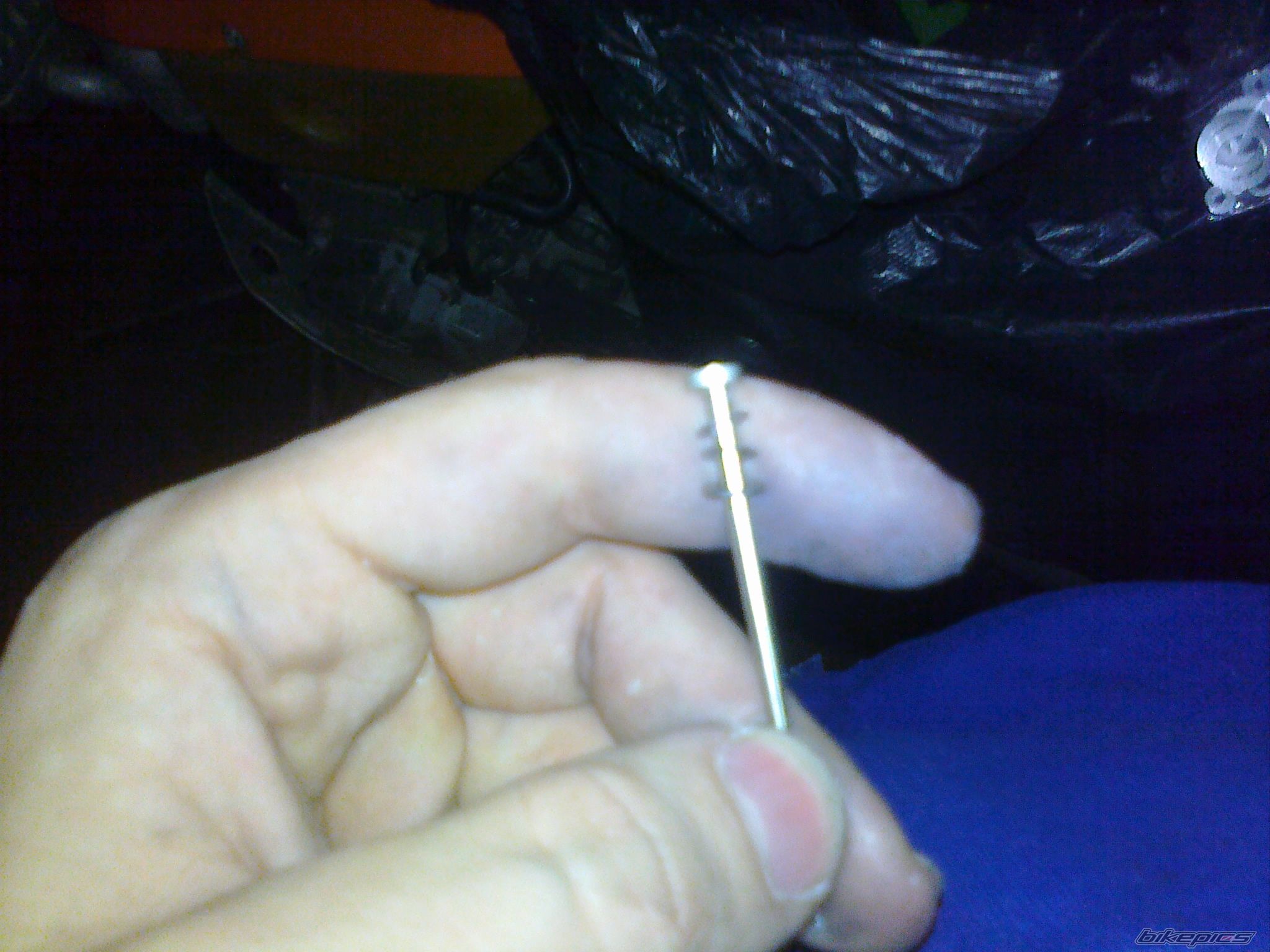 Photo 2478277