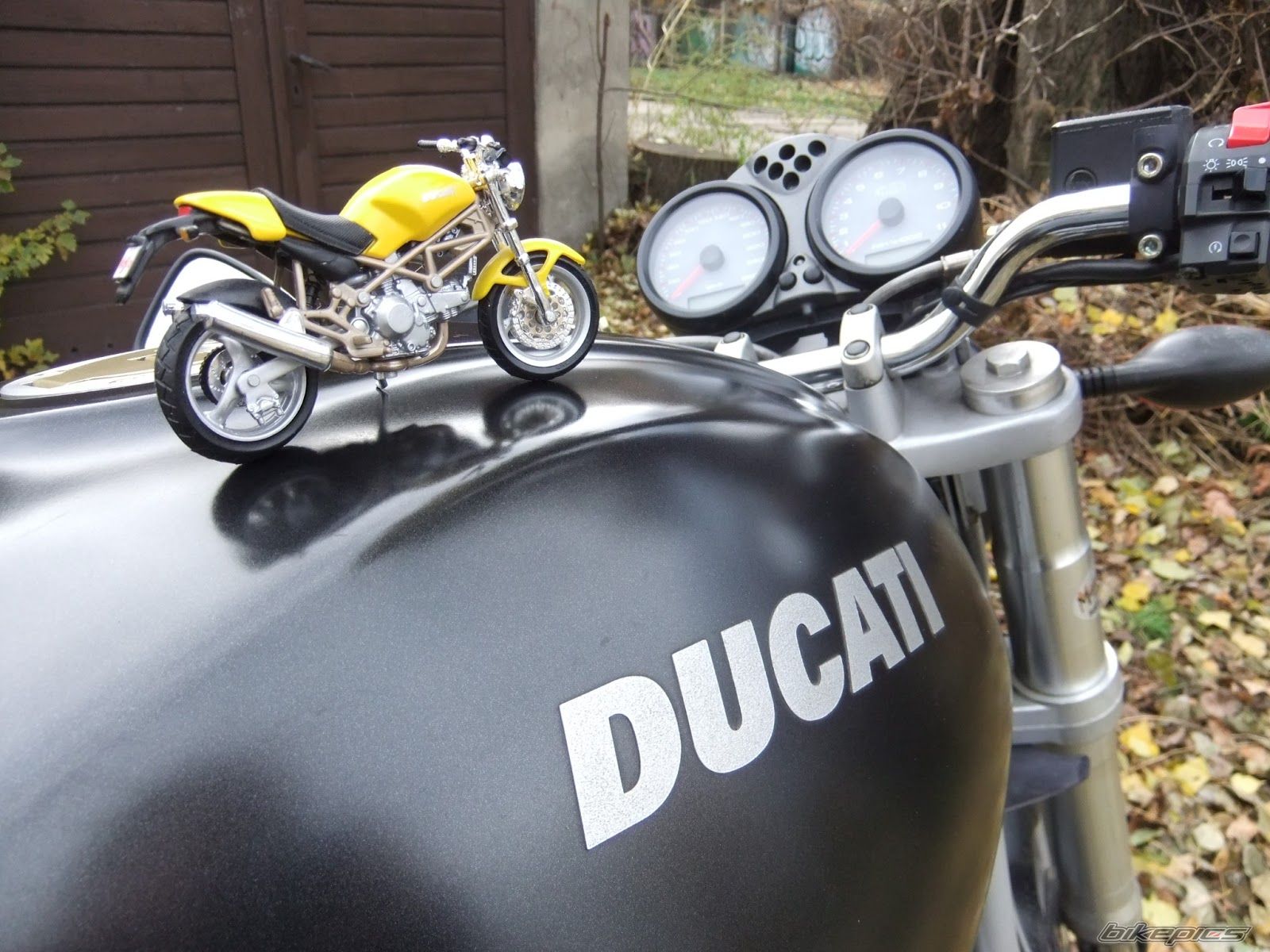 Photo 2478279