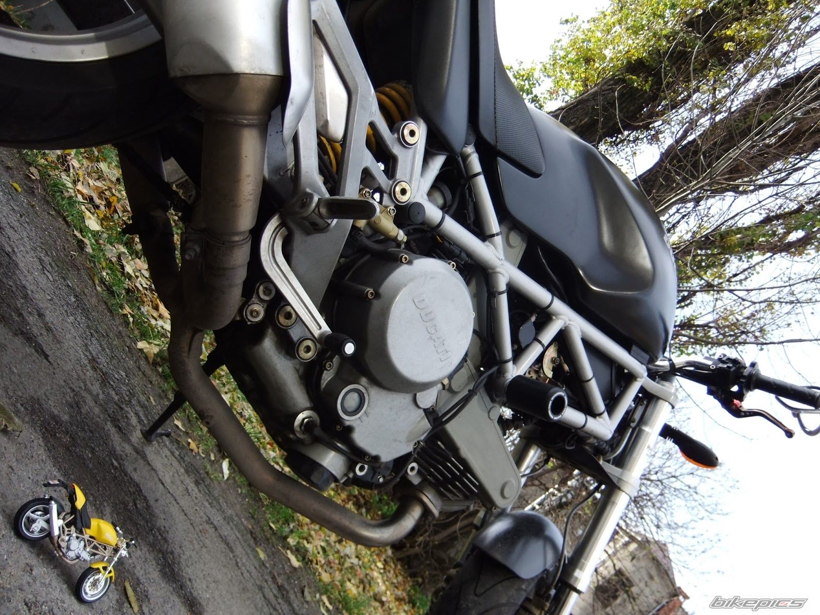 Photo 2478281
