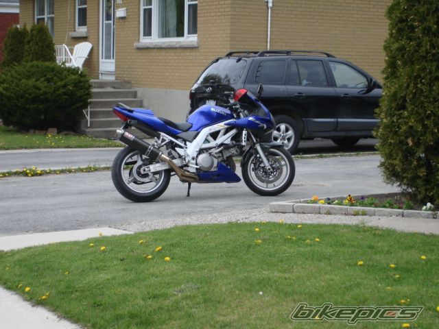 Photo 2478354