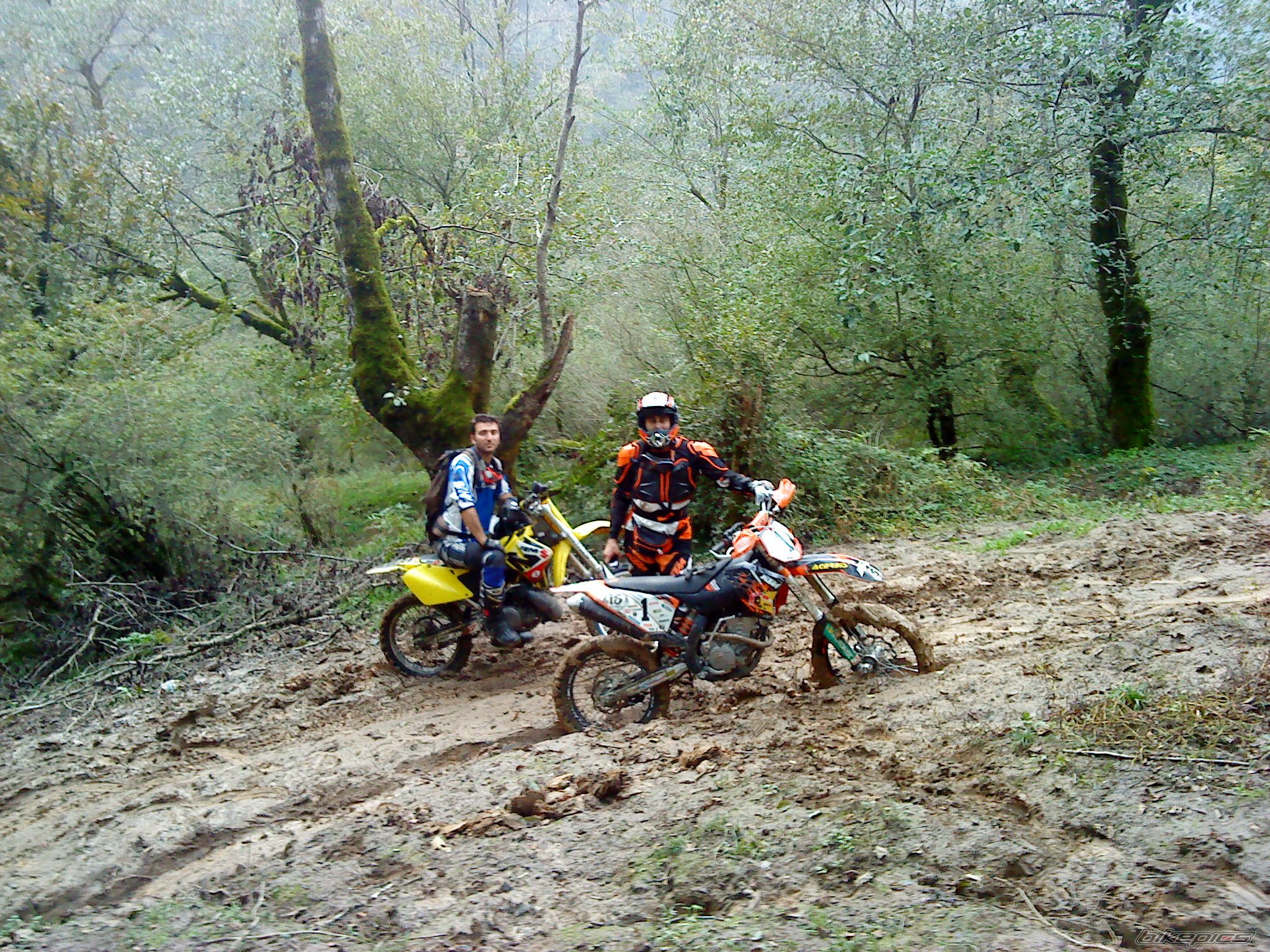 Photo 2478364