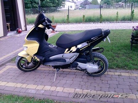 Photo 2478378