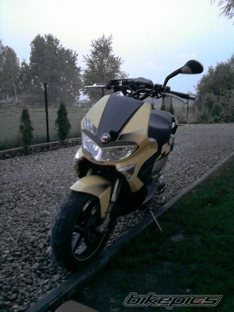 Photo 2478387