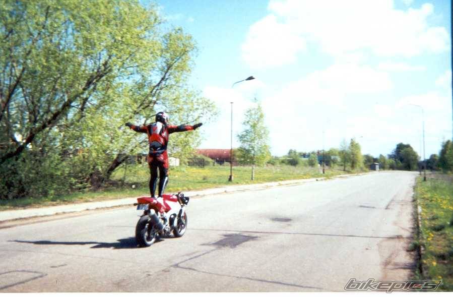 Photo 24784