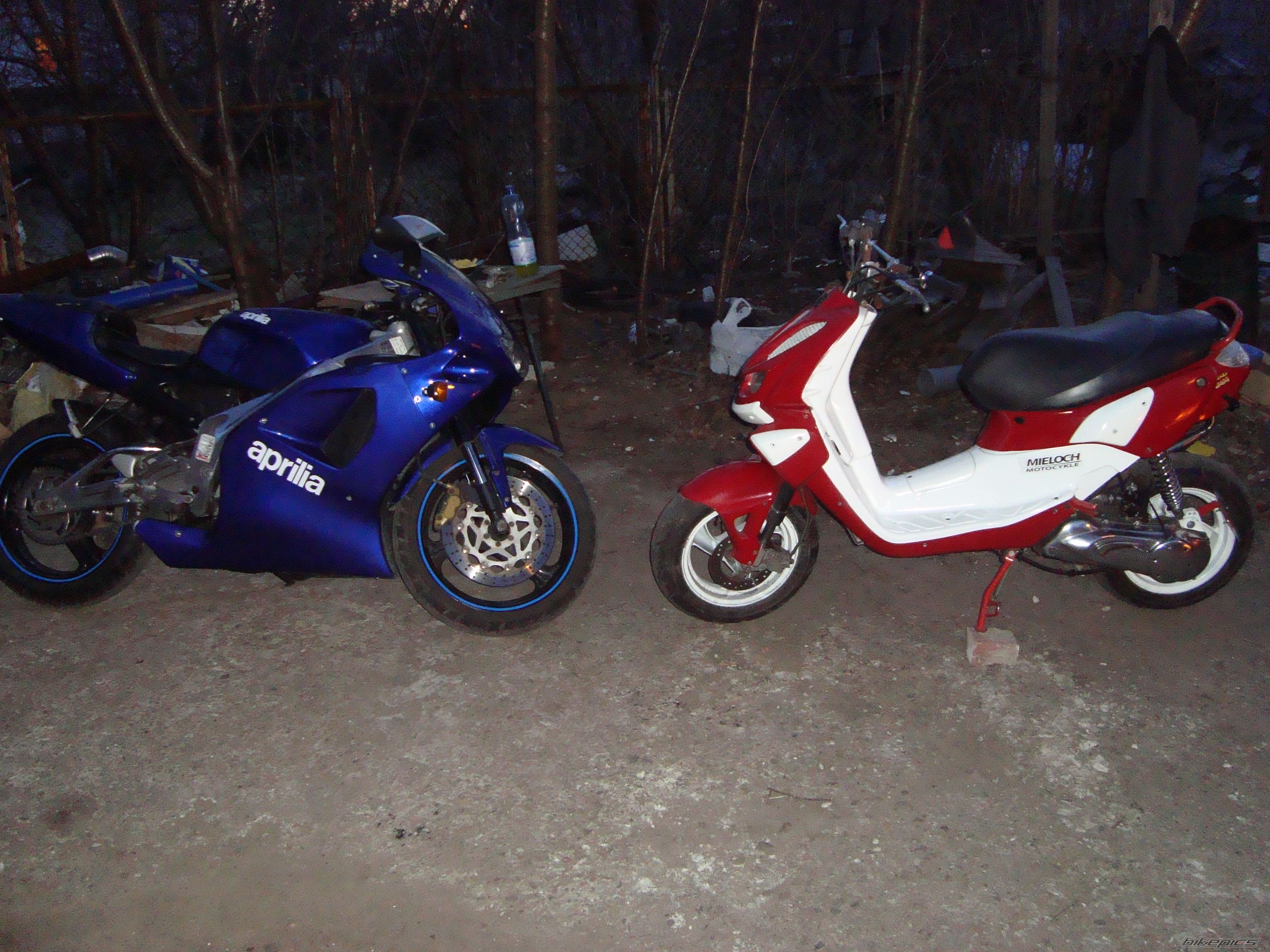 Photo 2478411