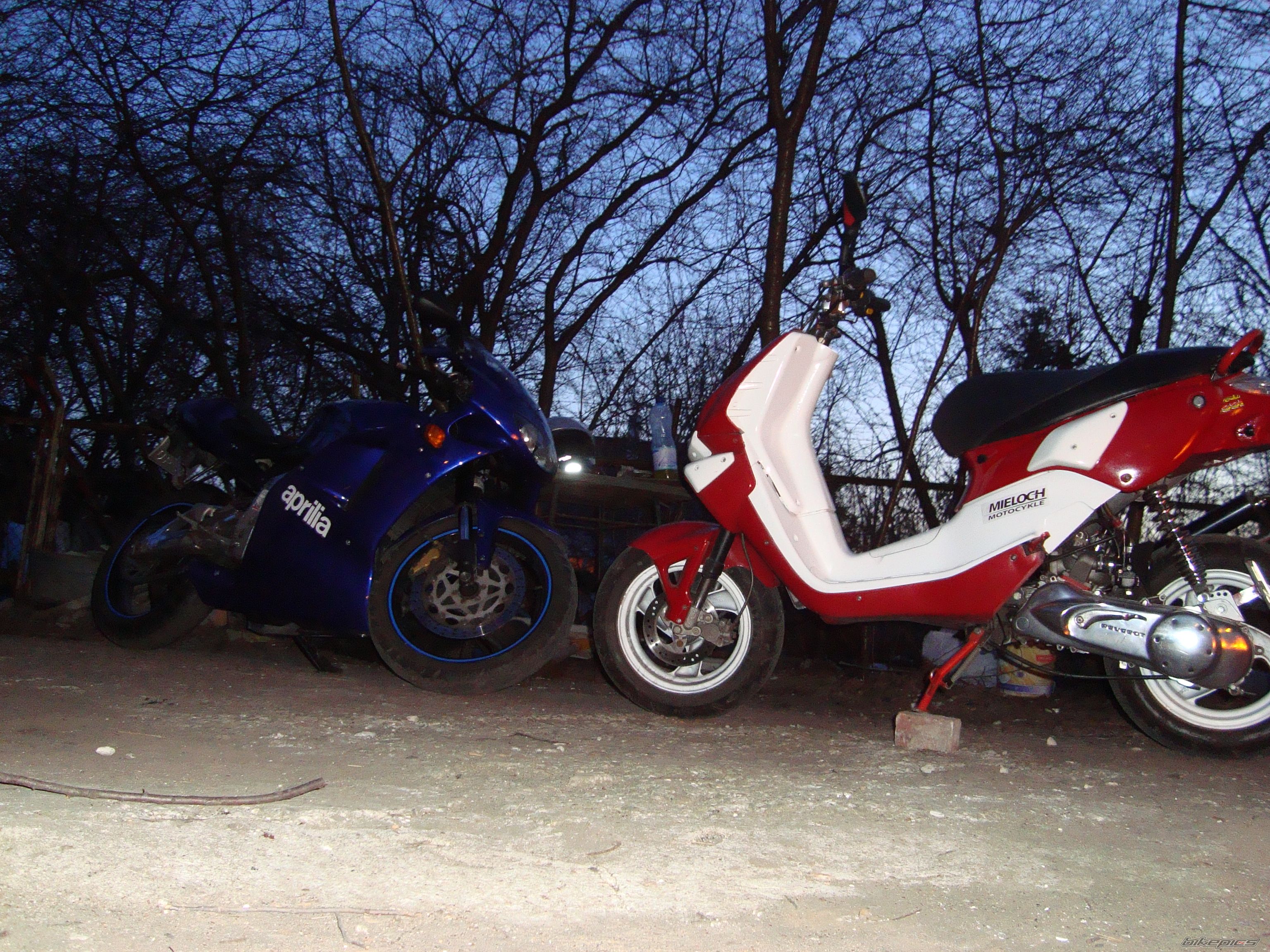 Photo 2478418
