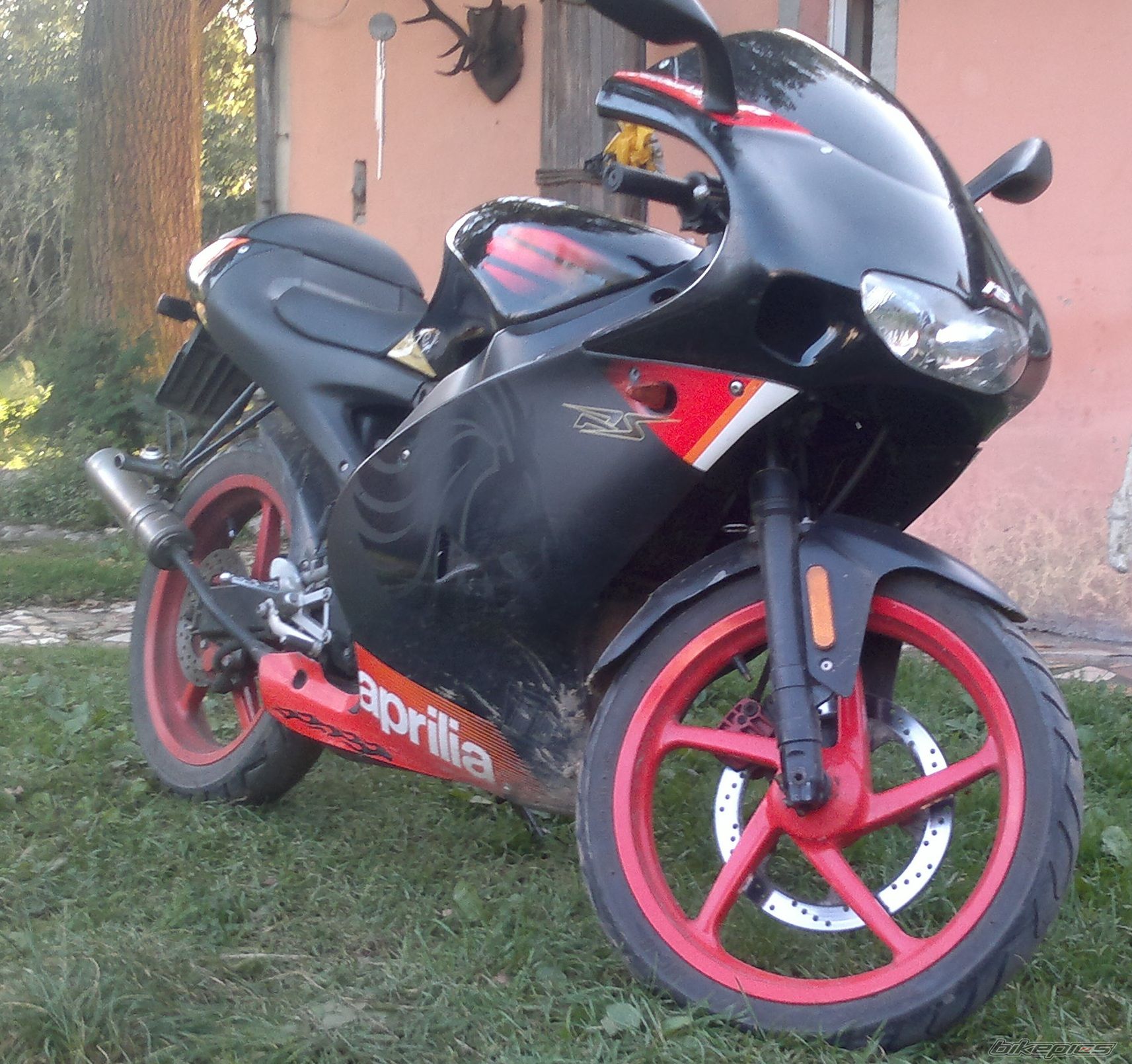 Photo 2478594