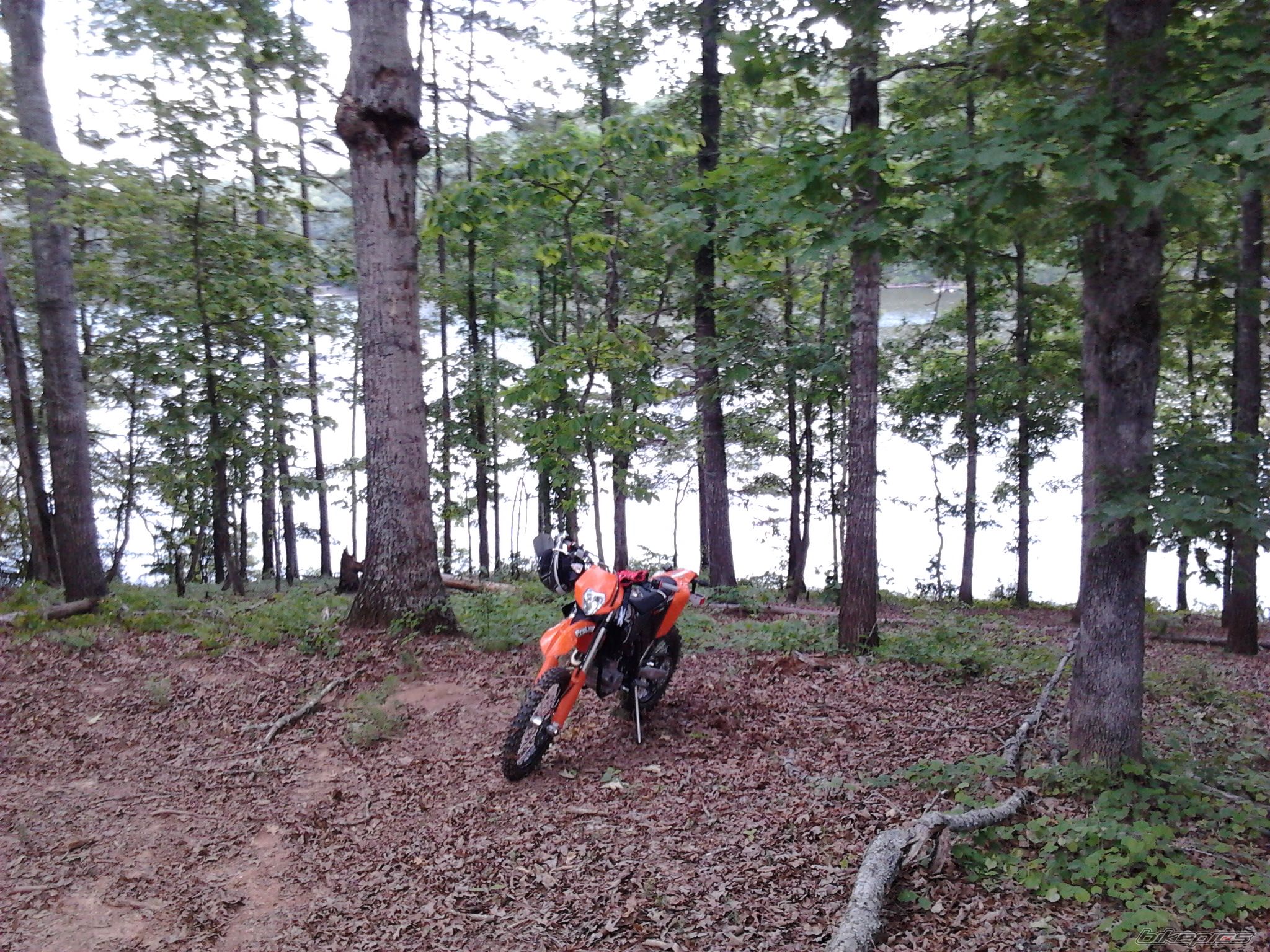 Photo 2478820