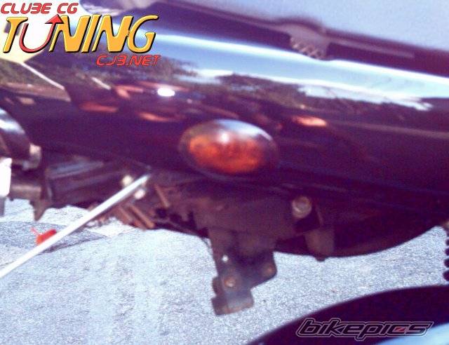 Photo 247892
