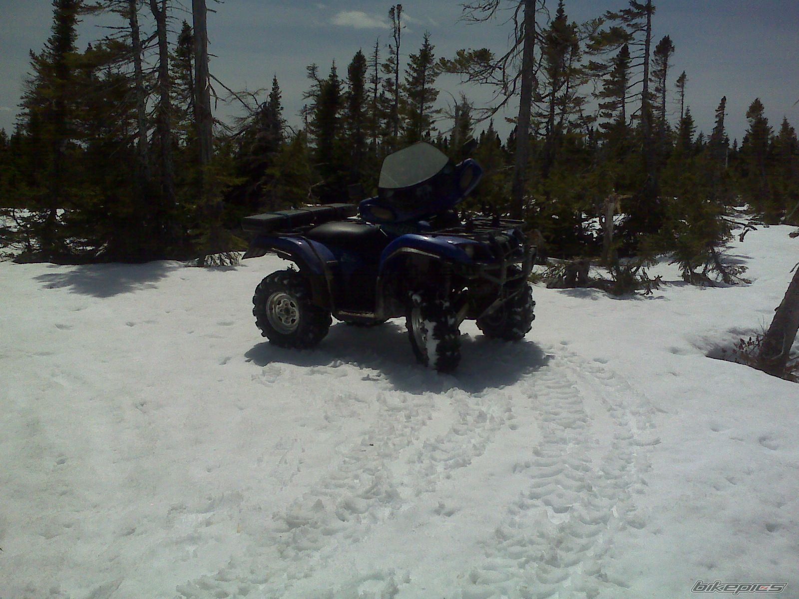 Photo 2478940