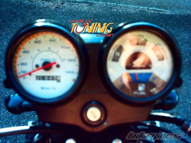 Photo 247895